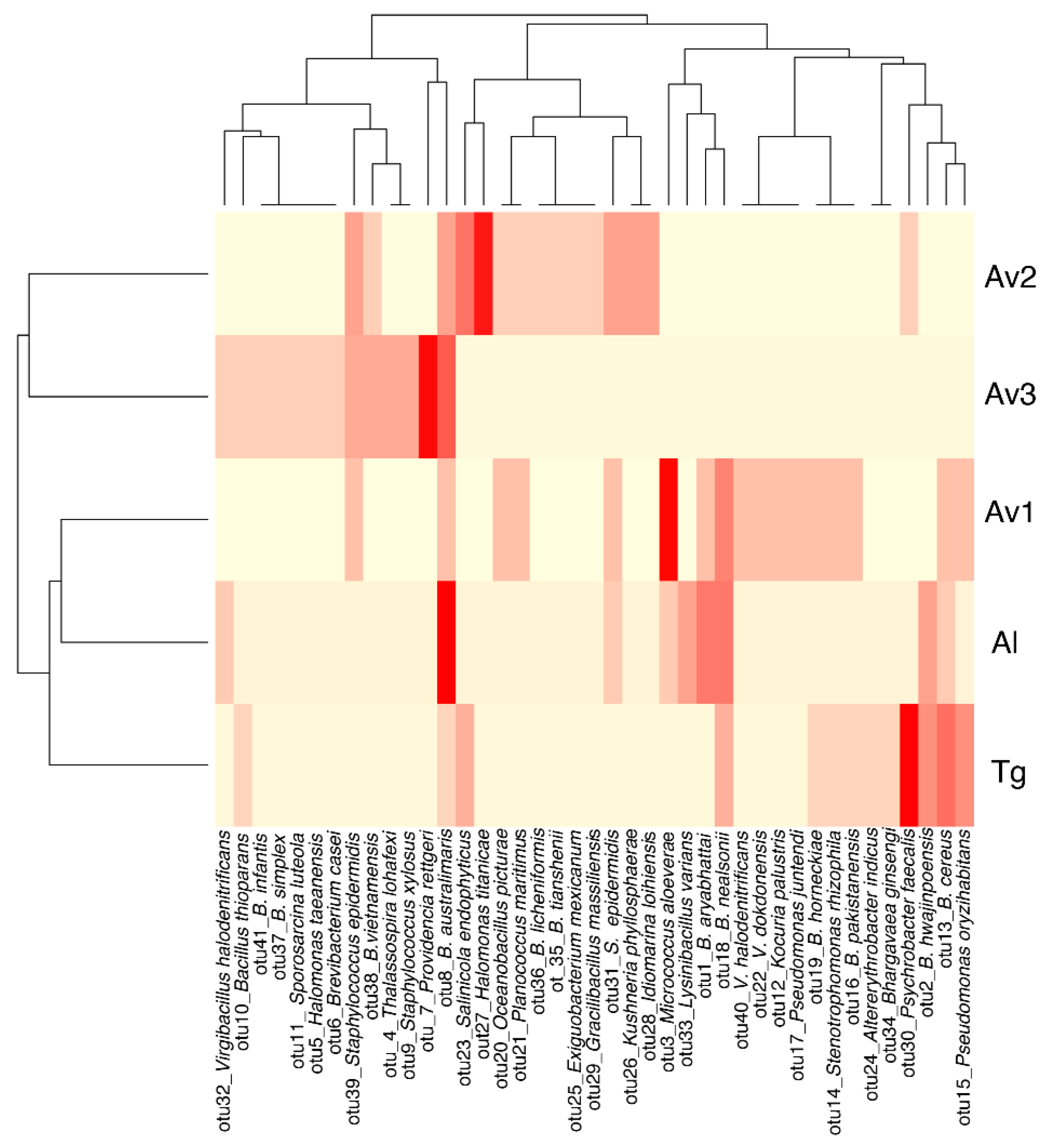 Applsci 11 02233 g002 Applsci 11 02233 g002