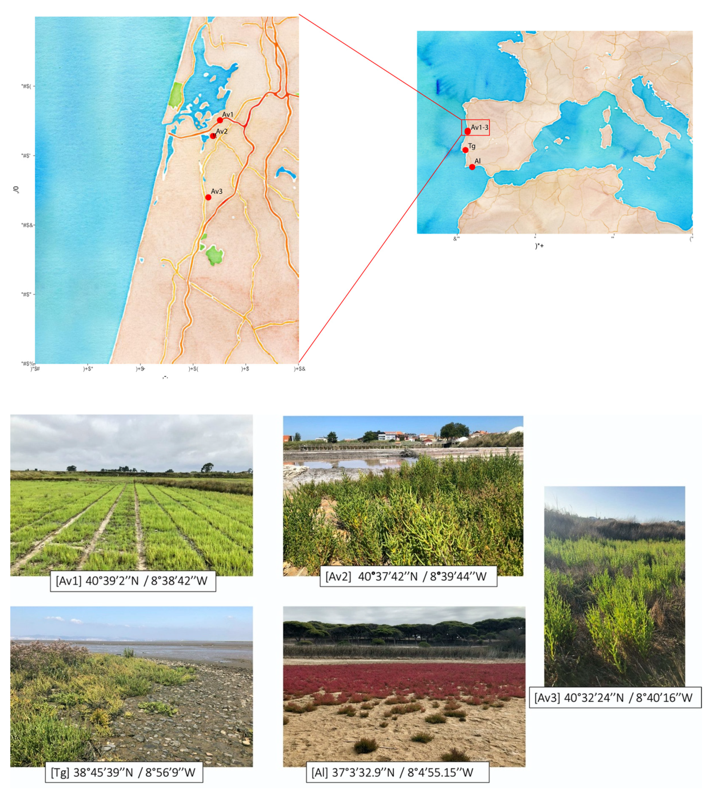 Applsci 11 02233 g0a1 Applsci 11 02233 g0a1