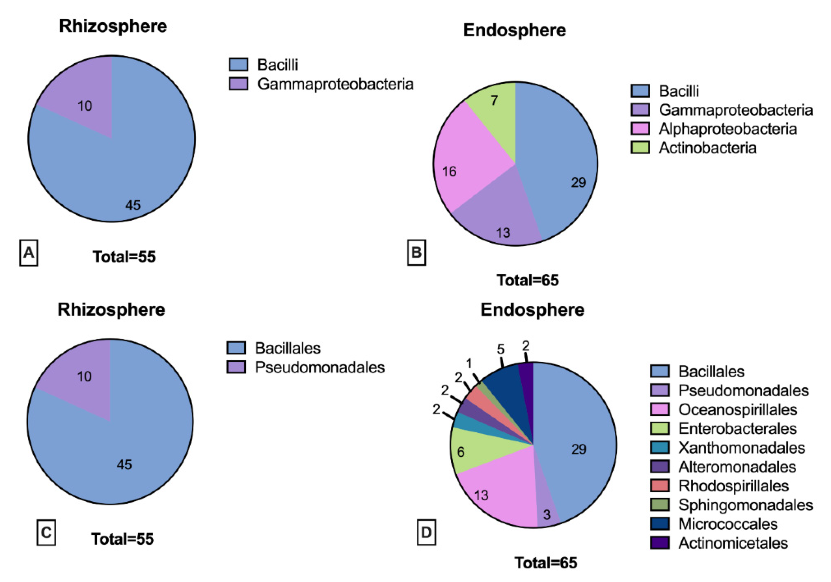 Applsci 11 02233 g0a2 Applsci 11 02233 g0a2