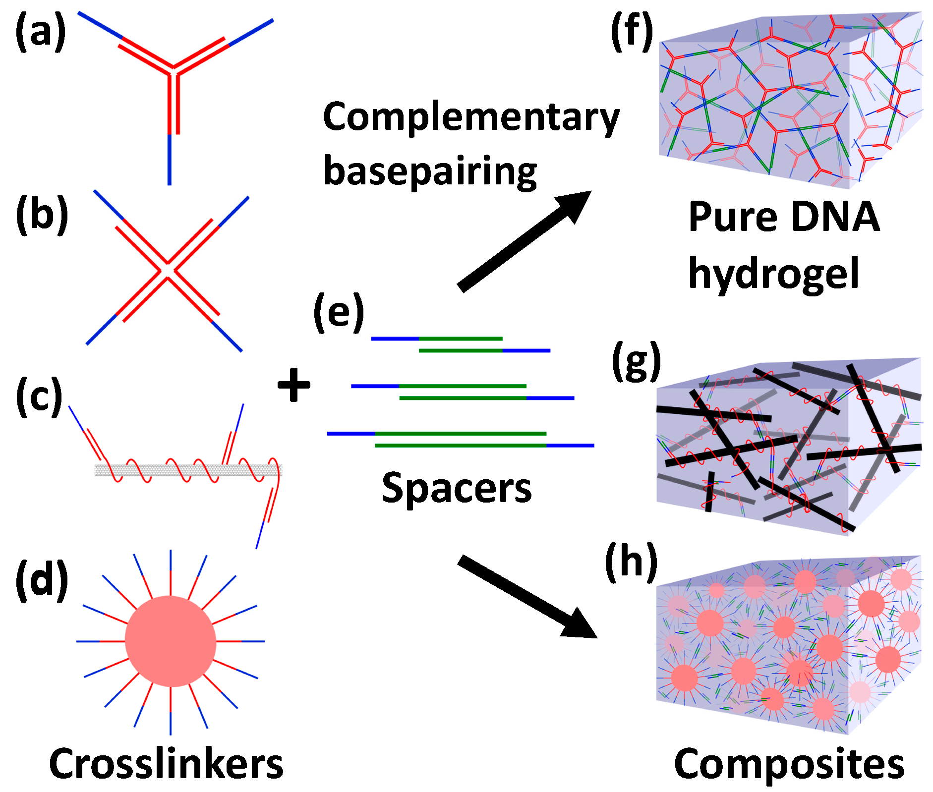 Applsci 11 02245 g001