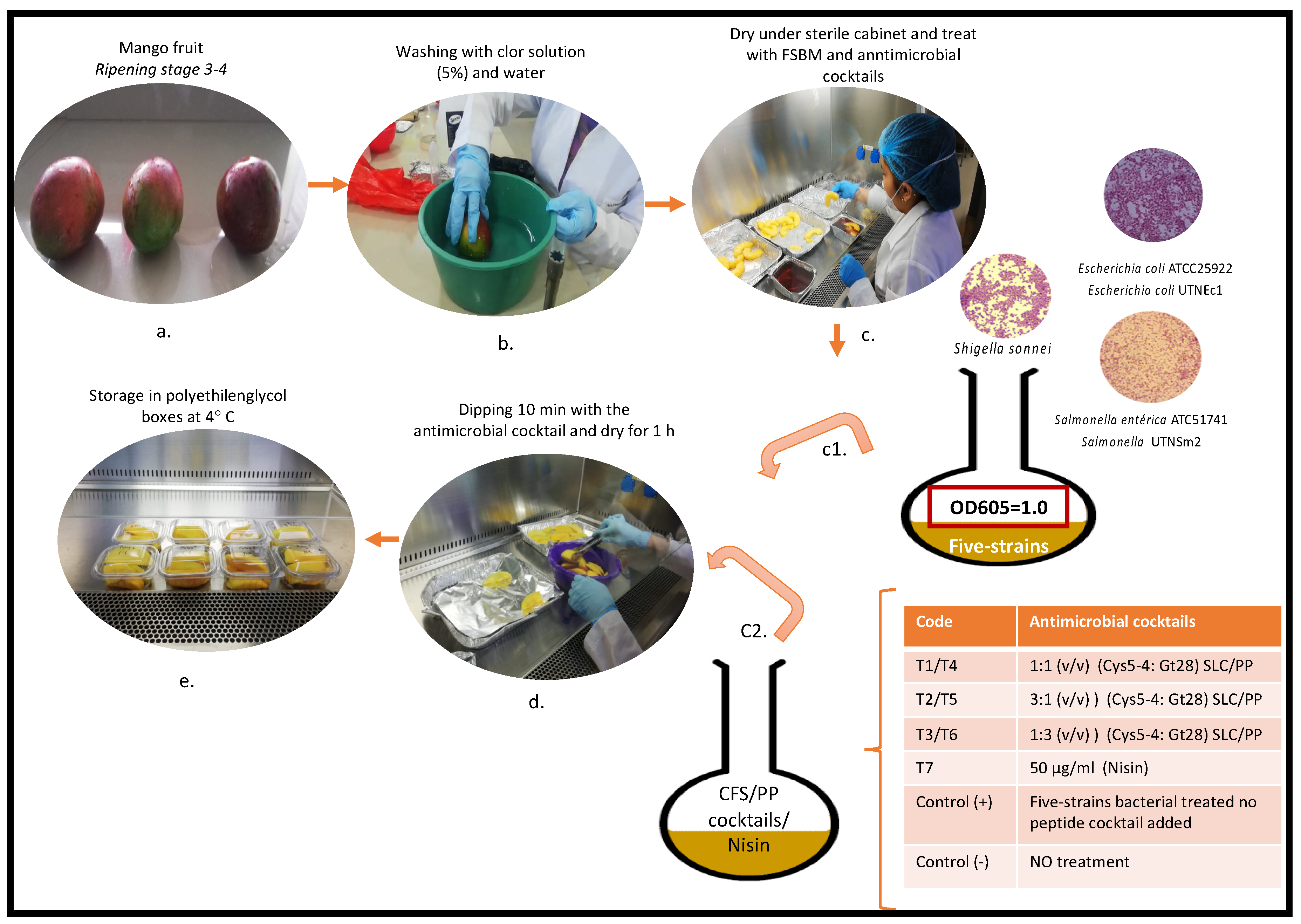 Applsci 11 02246 g001