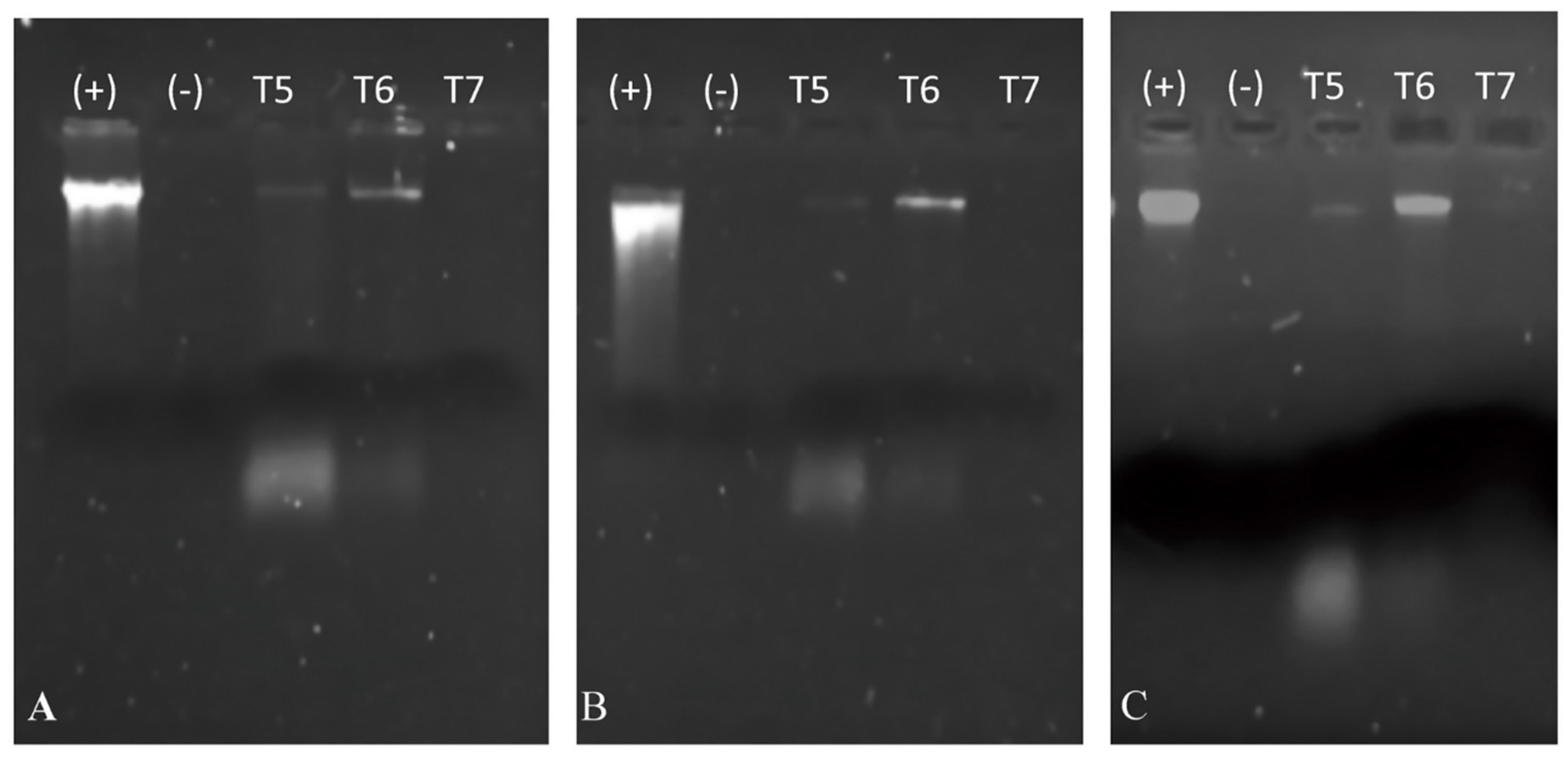 Applsci 11 02246 g006