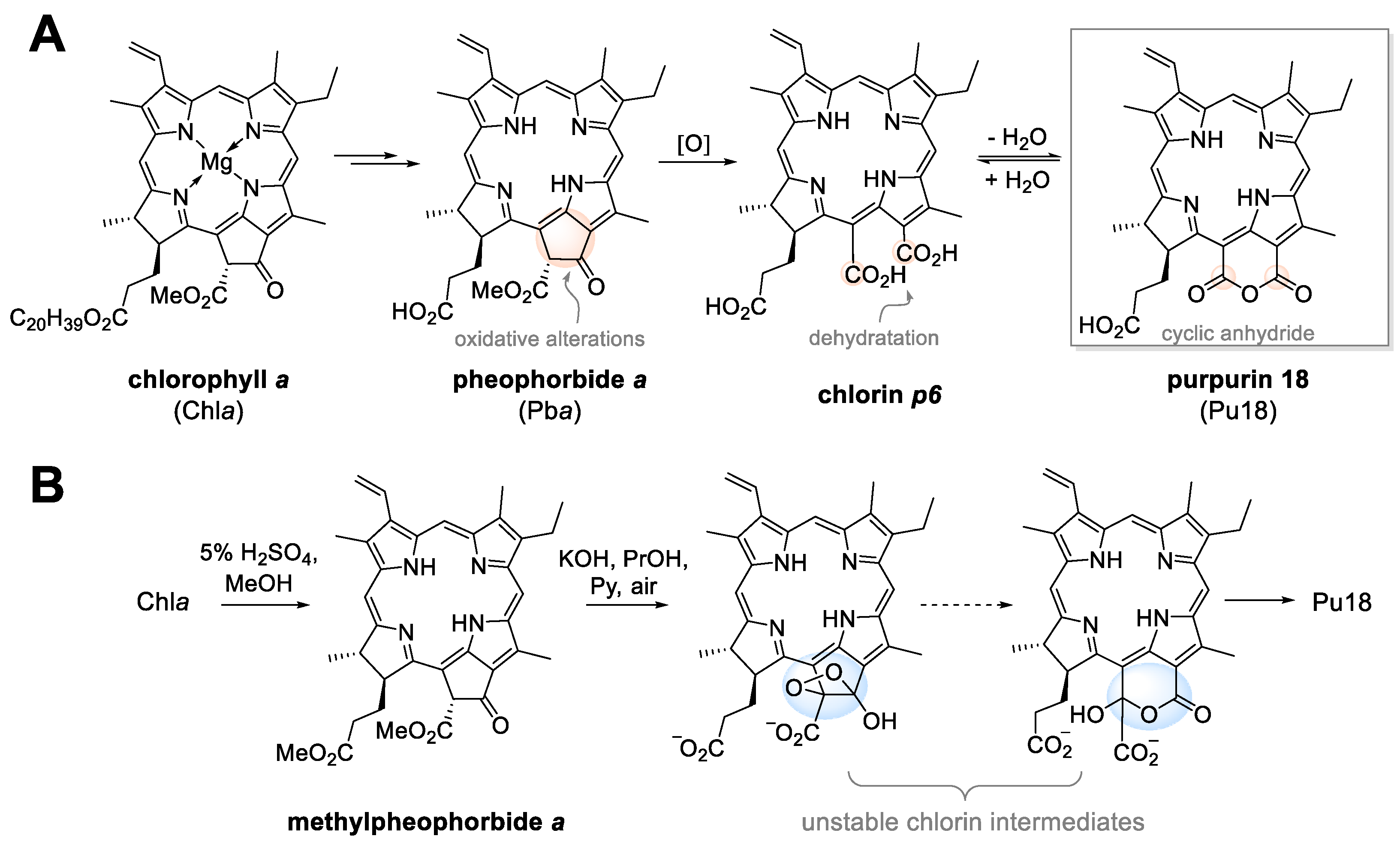 Applsci 11 02254 g001