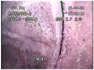 Applsci 11 02263 i070