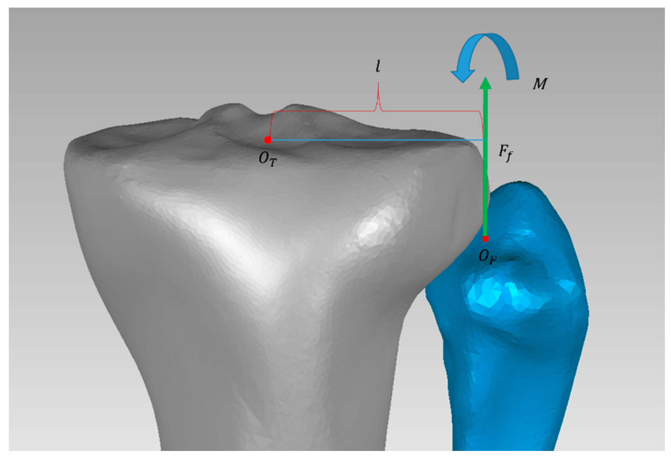 Applsci 11 02269 g003 Applsci 11 02269 g003