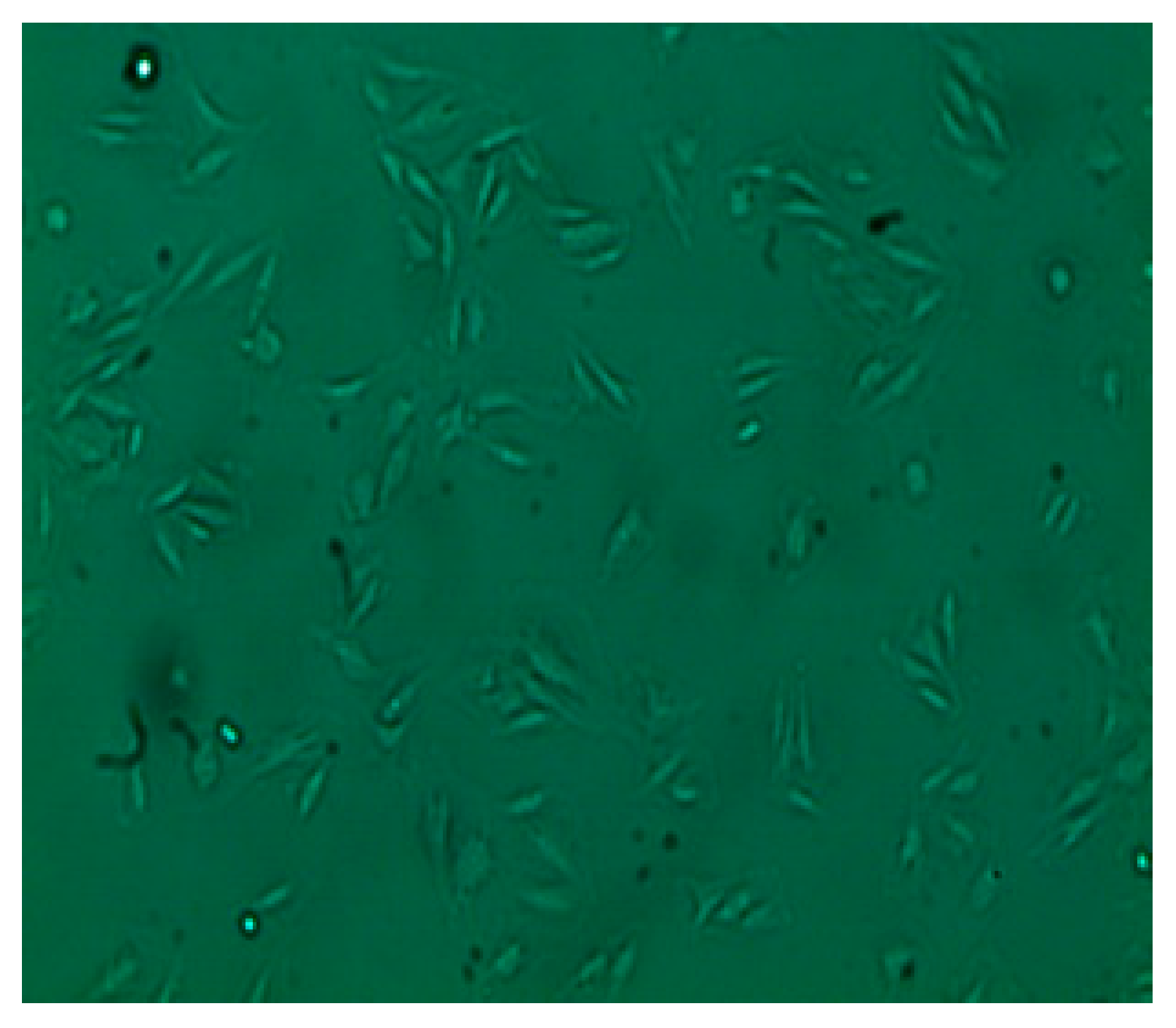 Applsci 11 02272 g001