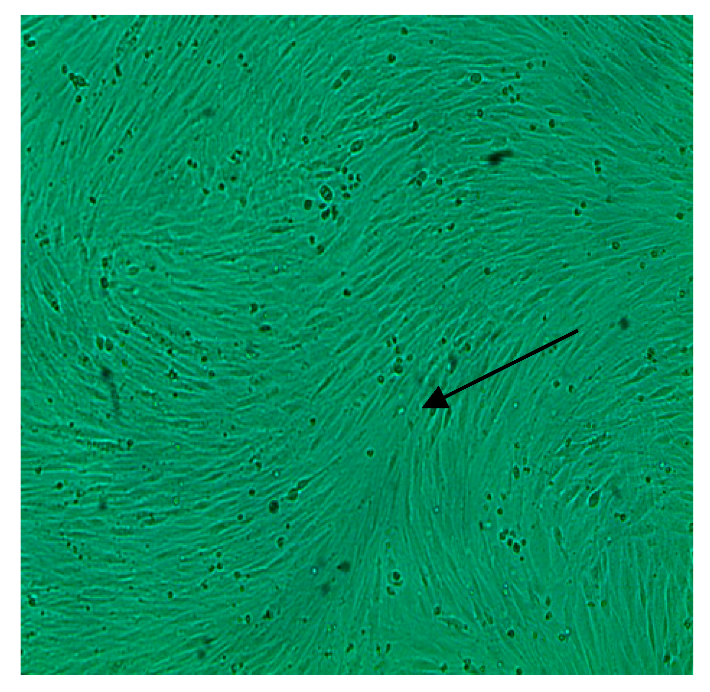 Applsci 11 02272 g002