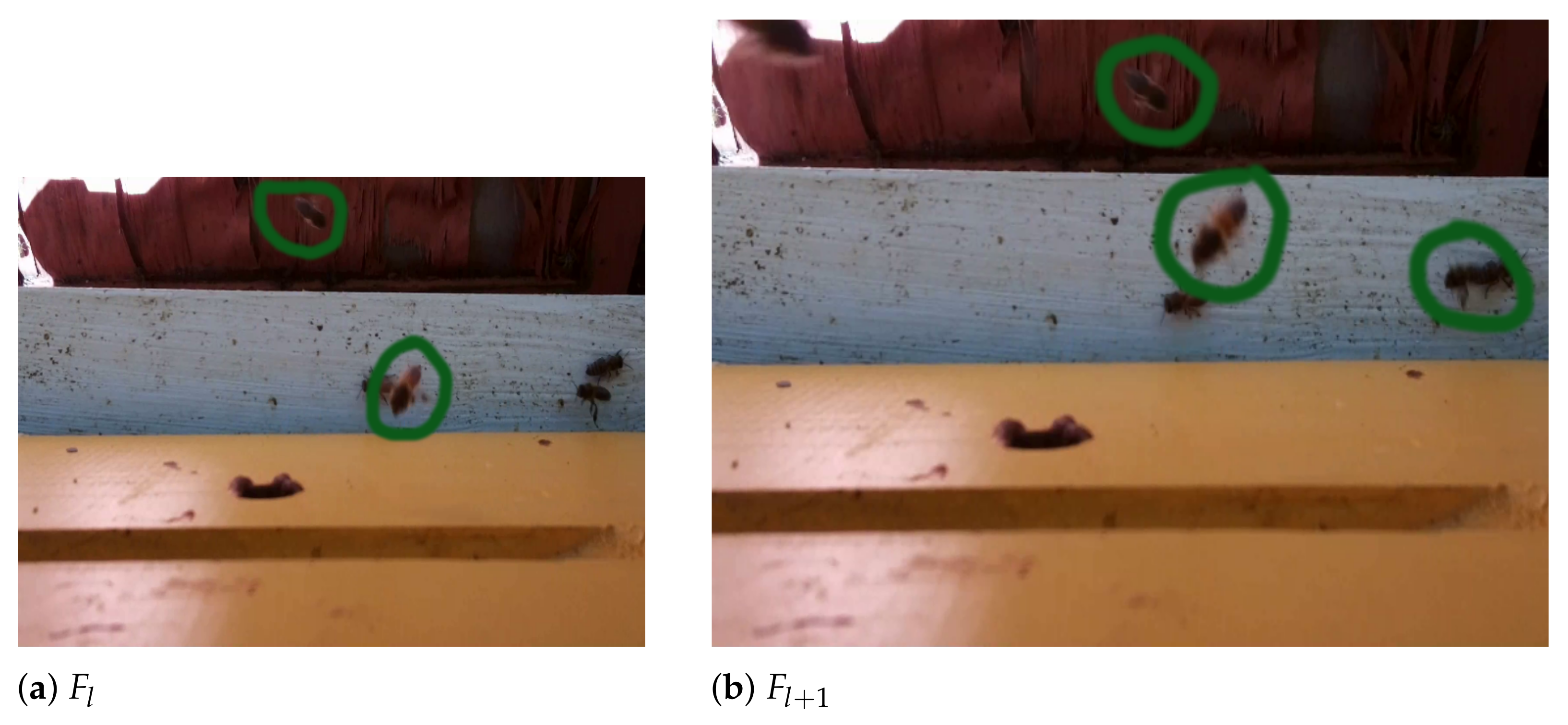 Applsci 11 02276 g016