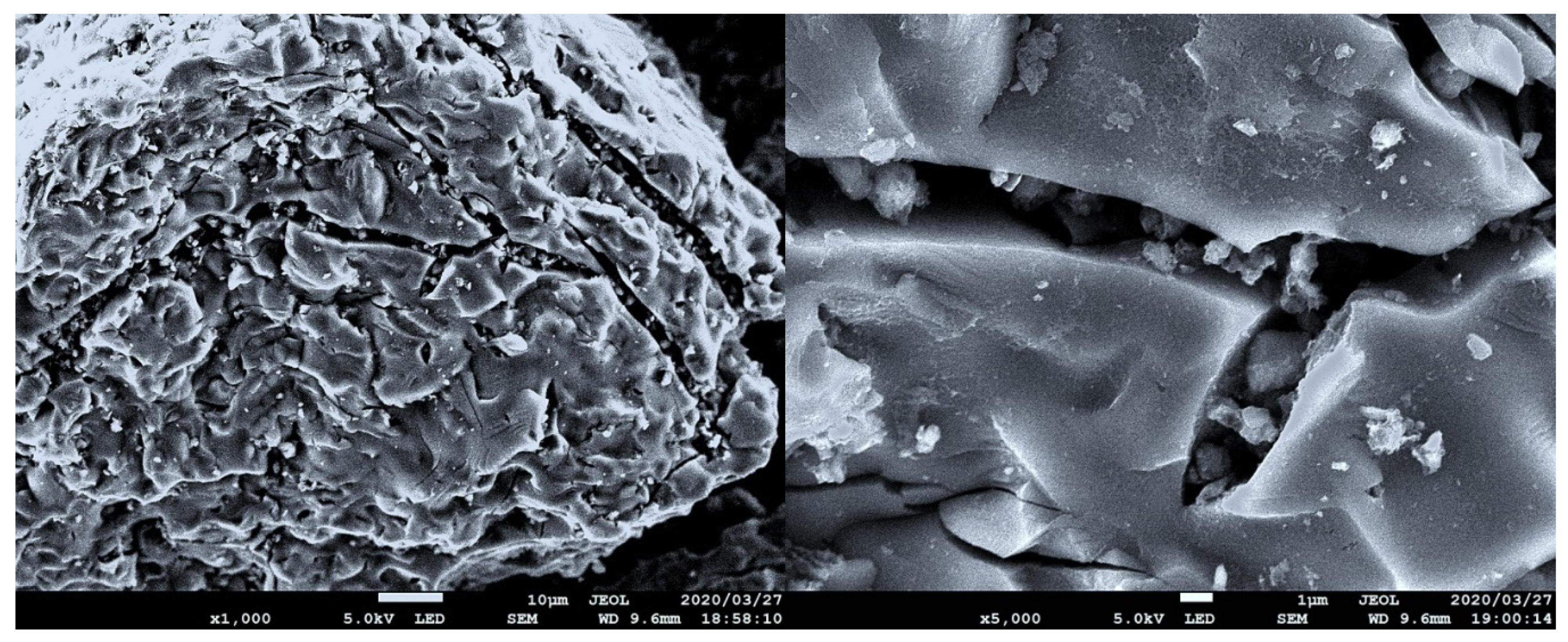 Applsci 11 02279 g002