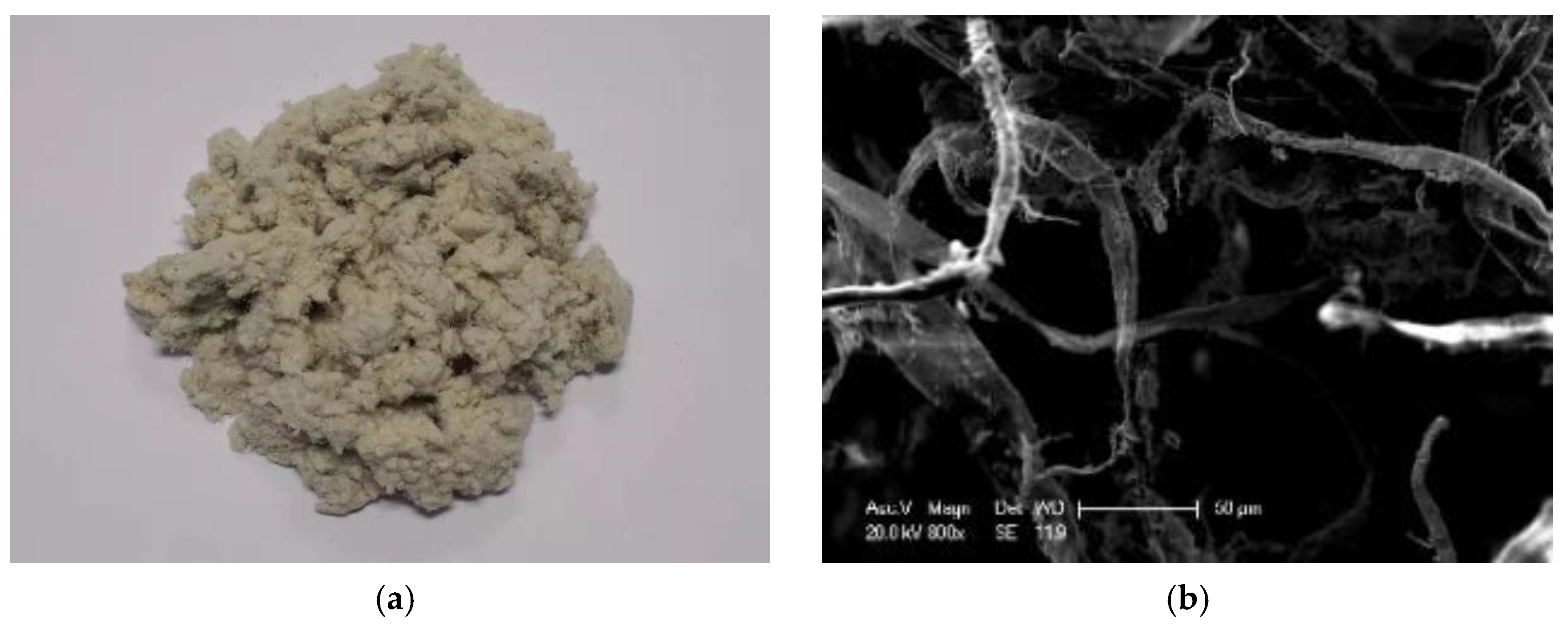 Applsci 11 02289 g002 Applsci 11 02289 g002