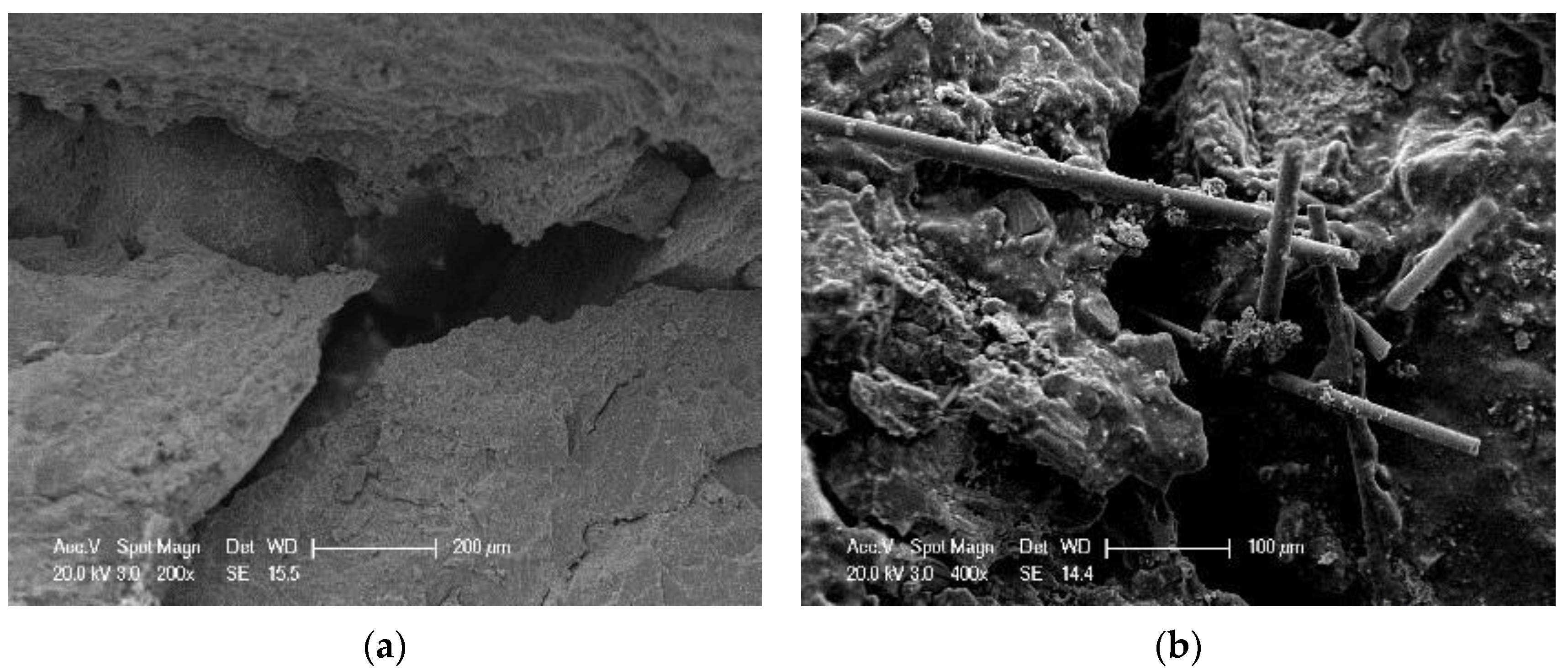 Applsci 11 02289 g008 Applsci 11 02289 g008