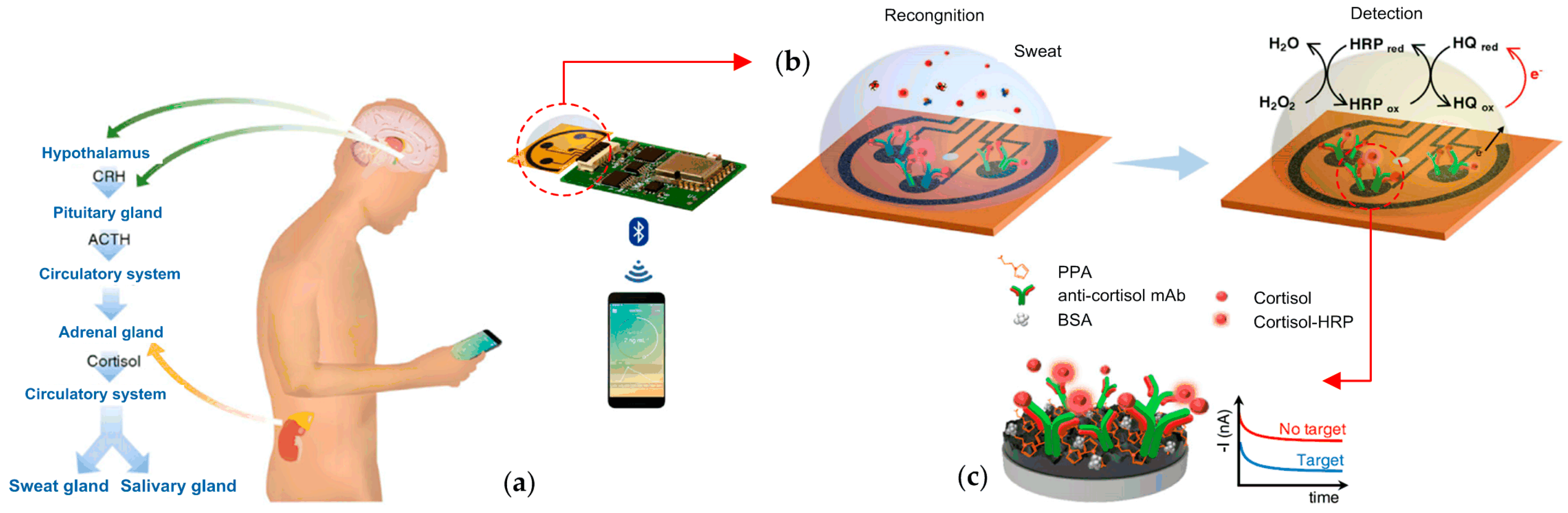 Applsci 11 02291 g008