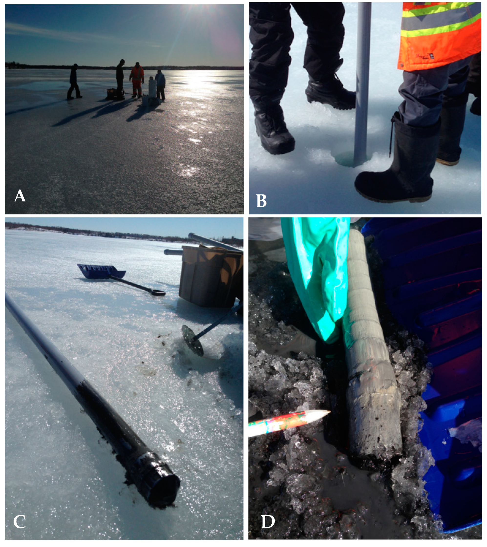 Applsci 11 02298 g002 Applsci 11 02298 g002