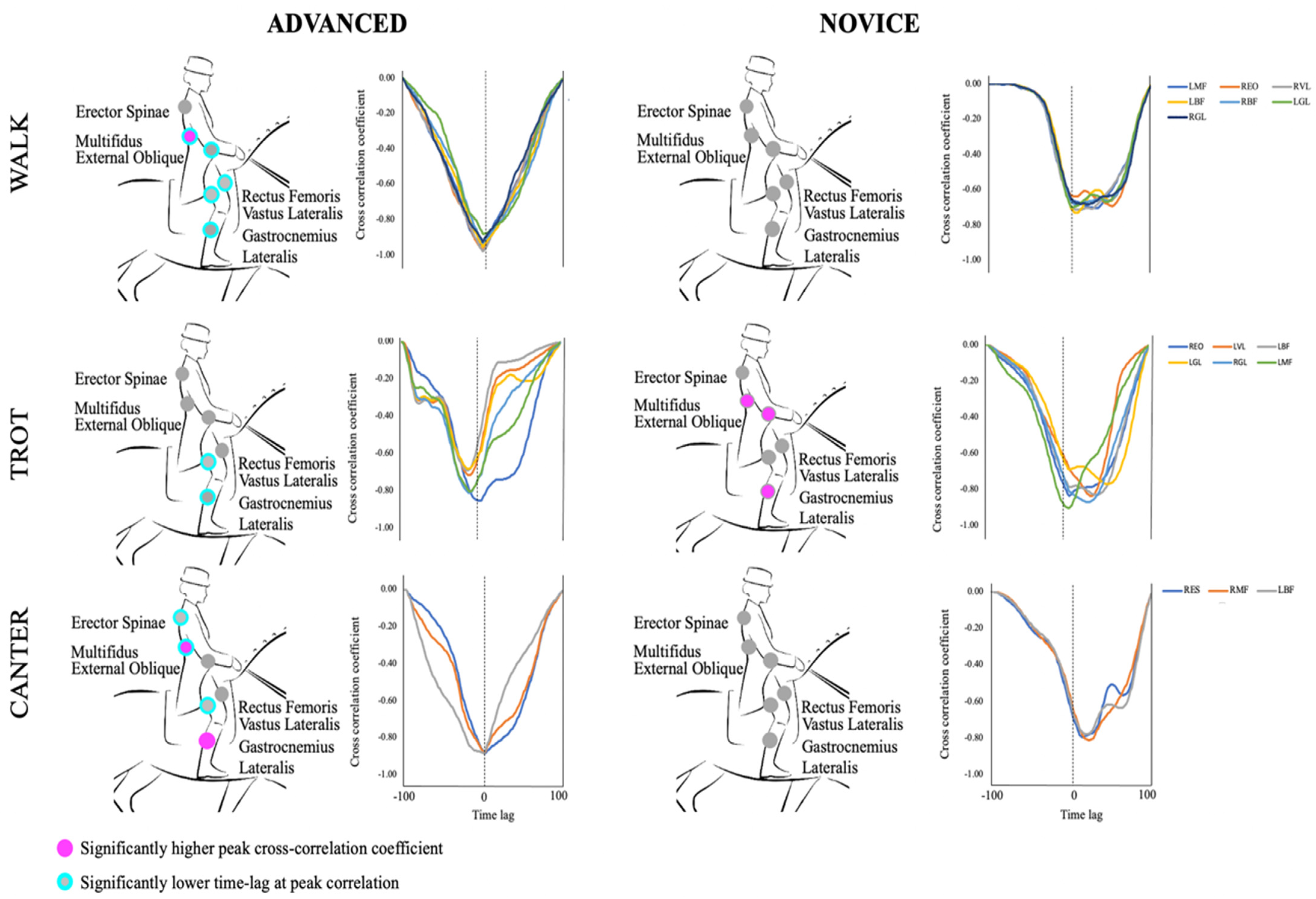 Applsci 11 02304 g005