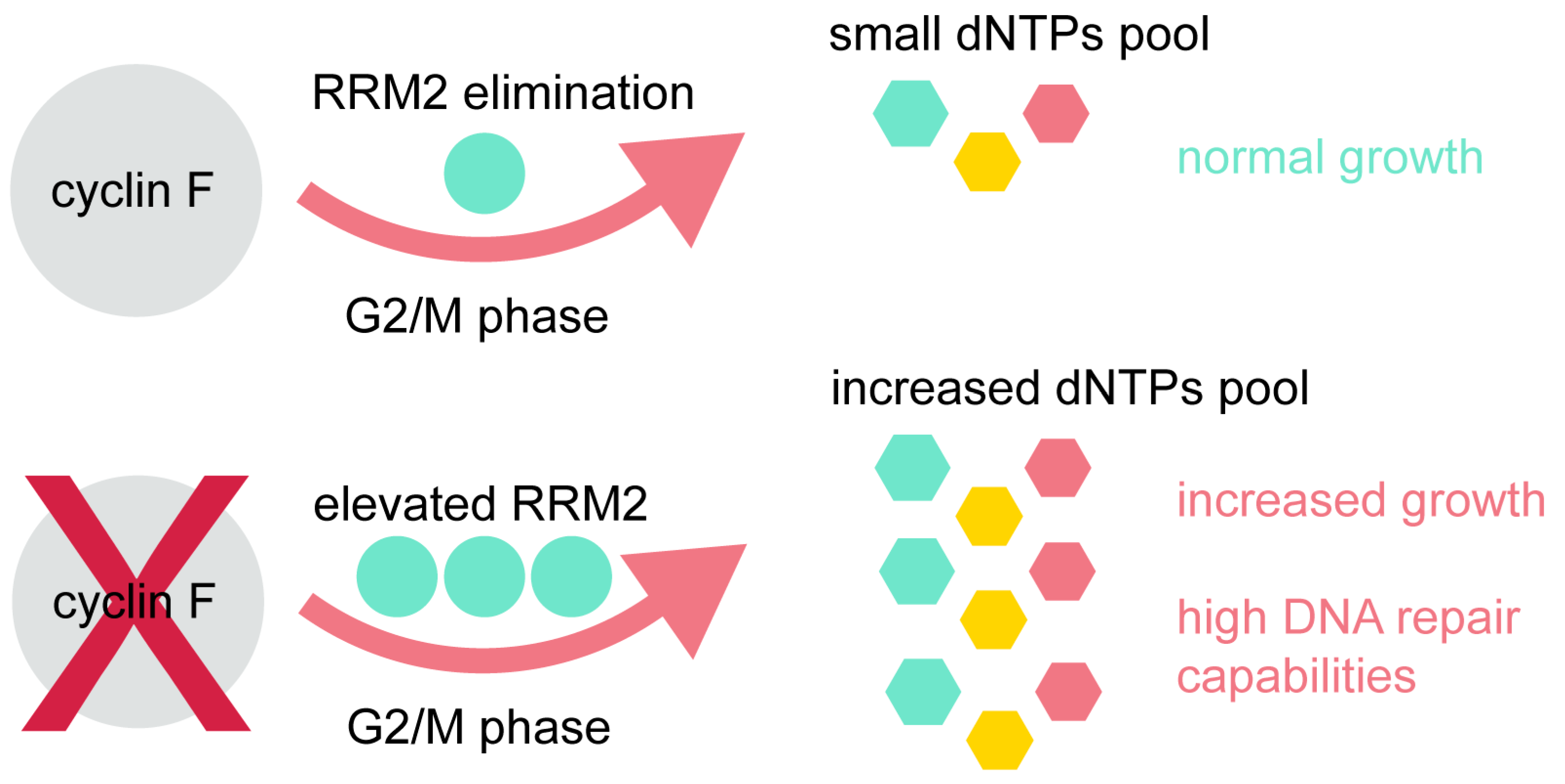 Applsci 11 02320 g002 Applsci 11 02320 g002