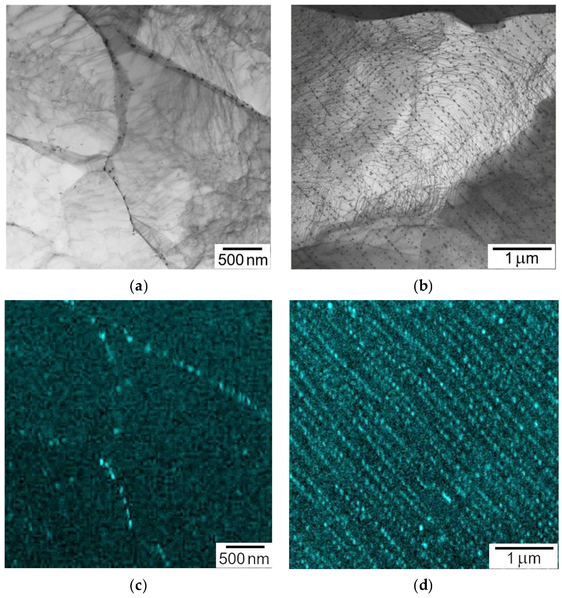 Applsci 11 02327 g008