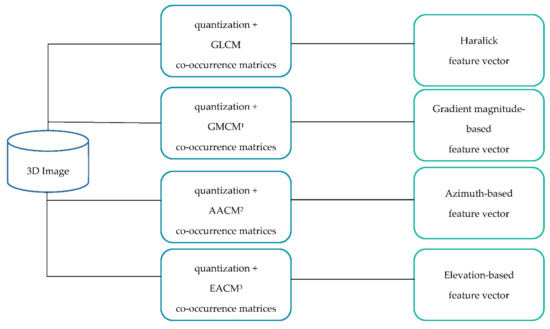 Applied Sciences | Free Full-Text | 3D Texture Feature Extraction and ...
