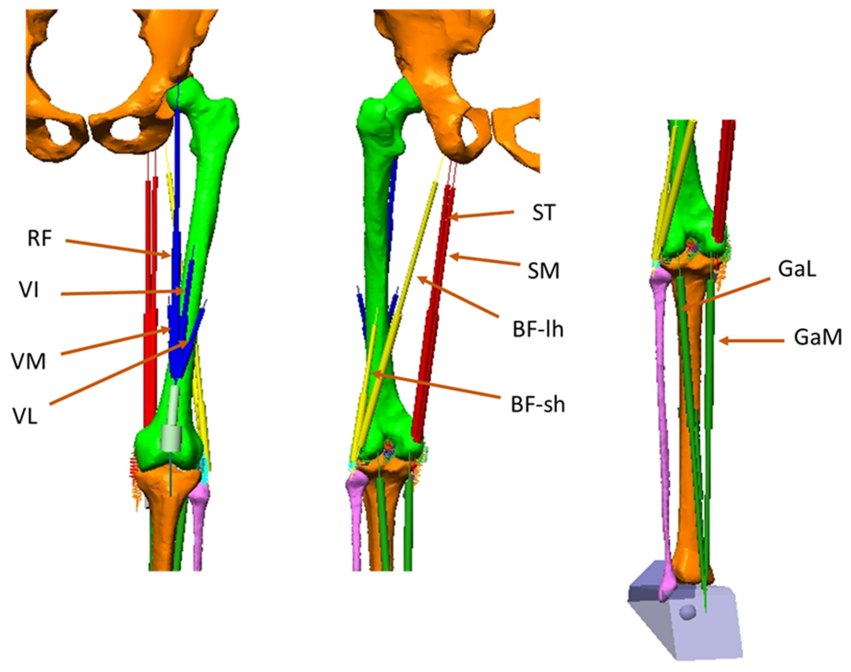 Applsci 11 02356 g002 Applsci 11 02356 g002