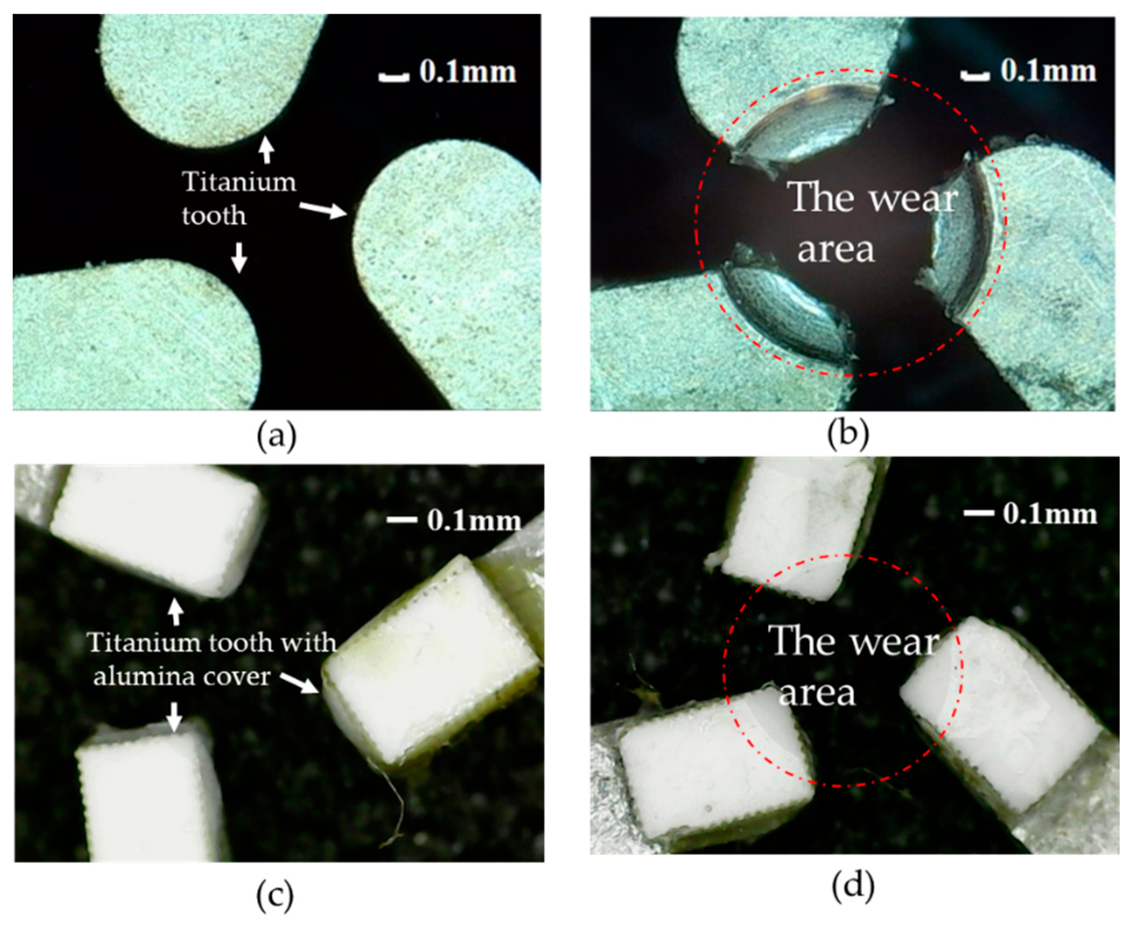 Applsci 11 02386 g013