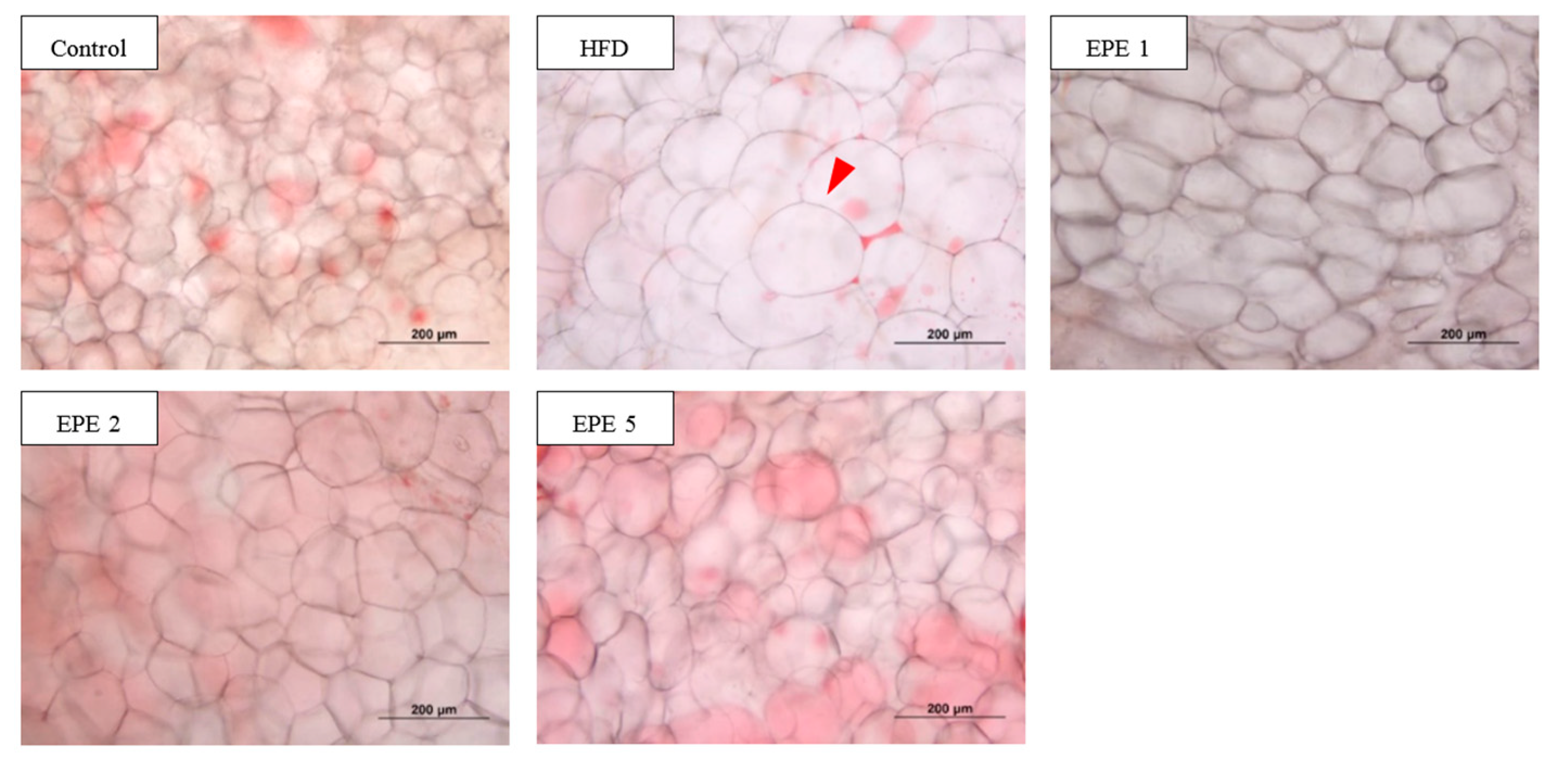 Applsci 11 02392 g002 Applsci 11 02392 g002