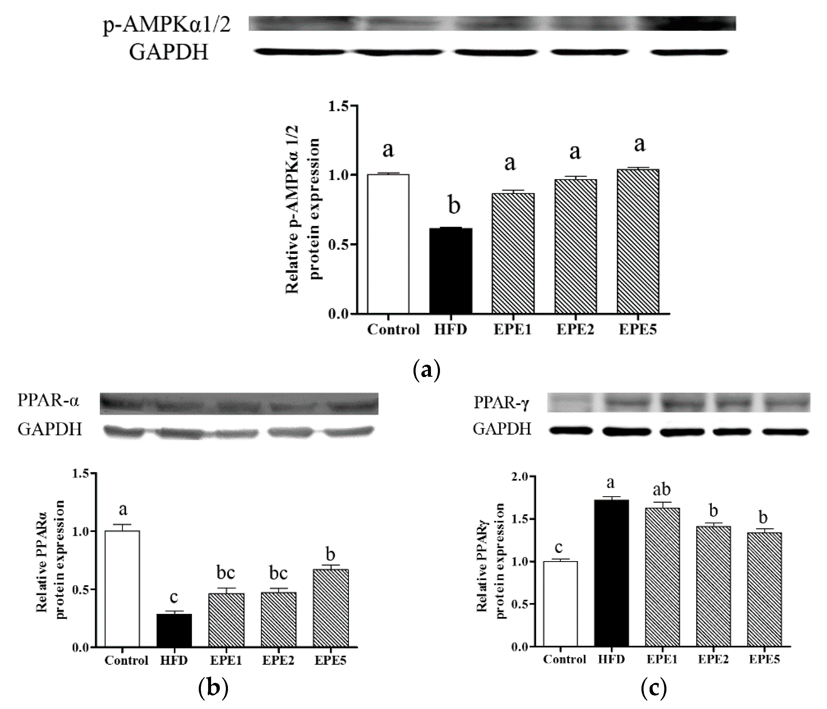 Applsci 11 02392 g007 Applsci 11 02392 g007