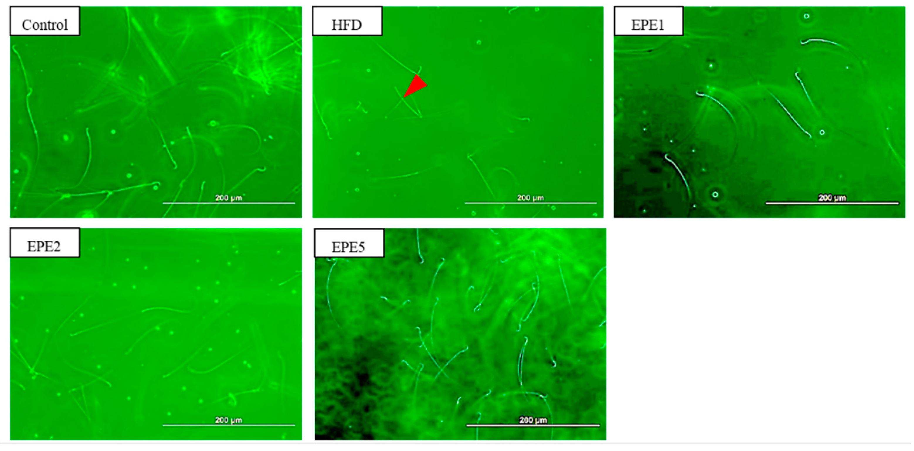 Applsci 11 02392 g009 Applsci 11 02392 g009
