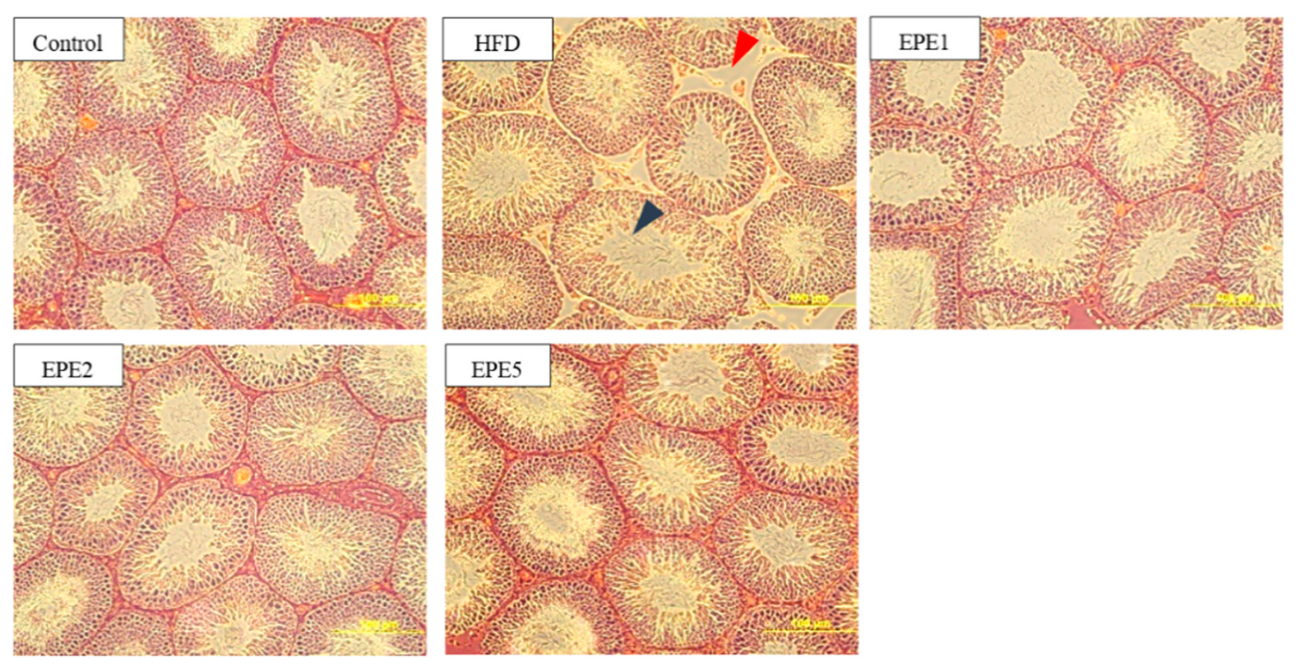 Applsci 11 02392 g010 Applsci 11 02392 g010