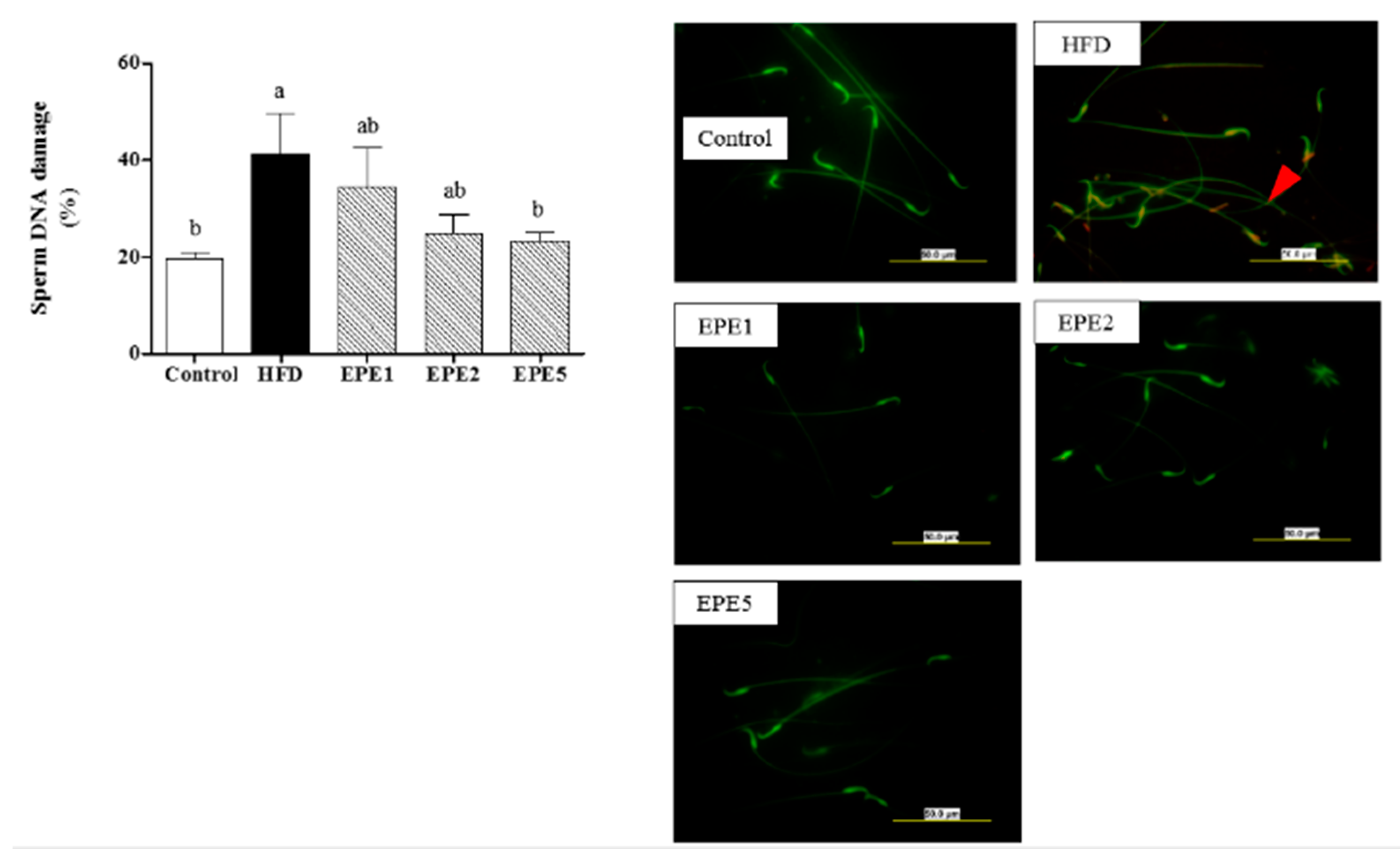 Applsci 11 02392 g012 Applsci 11 02392 g012