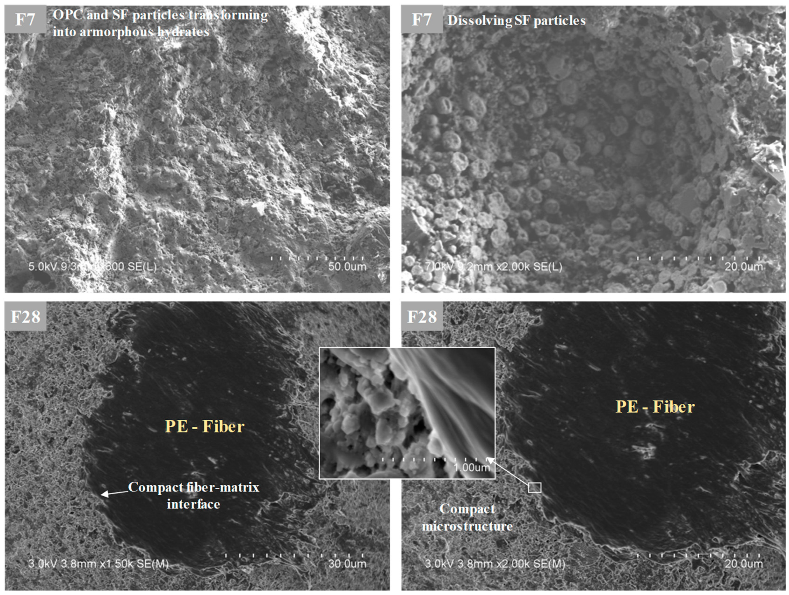 Applsci 11 02394 g007 Applsci 11 02394 g007