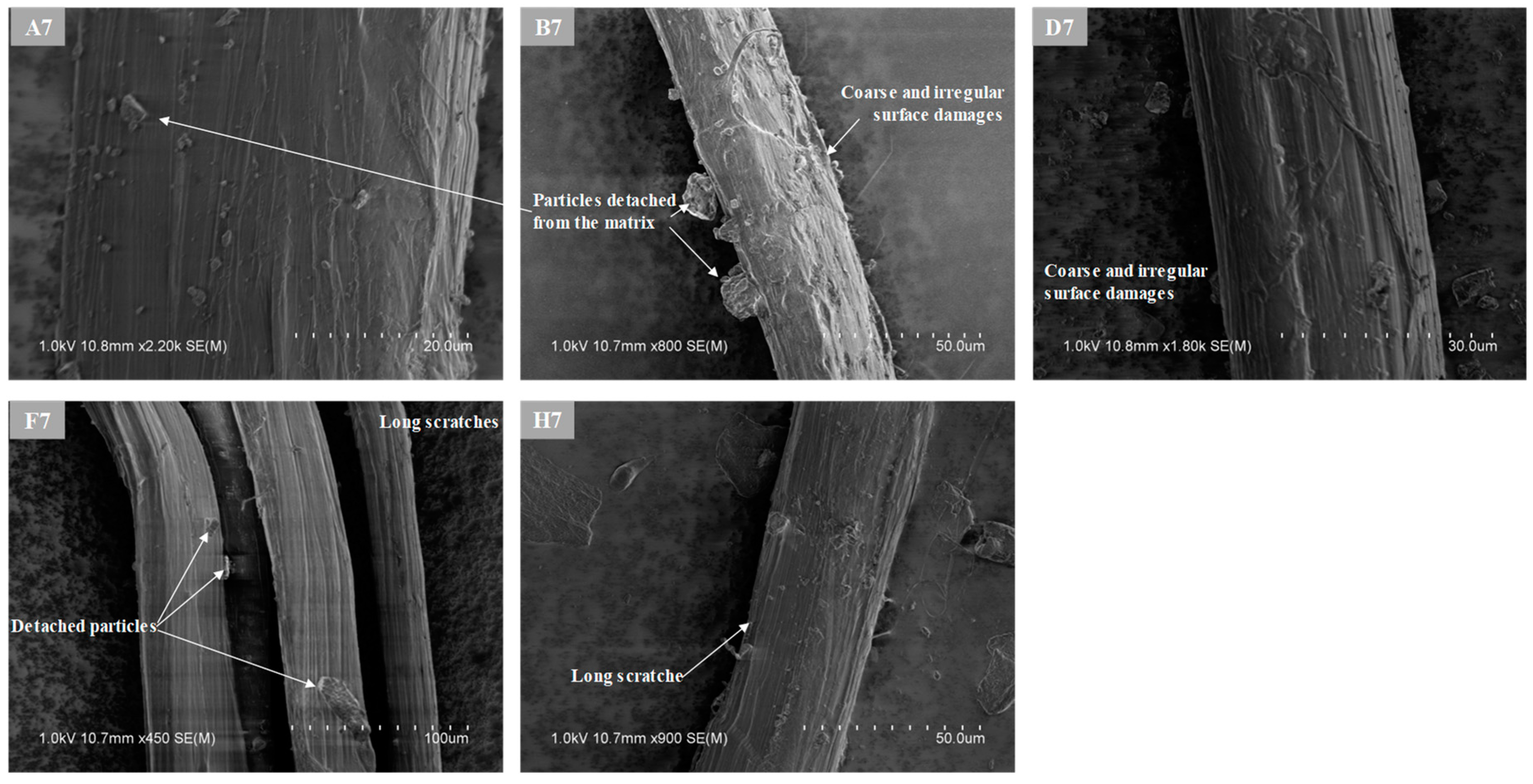 Applsci 11 02394 g012 Applsci 11 02394 g012