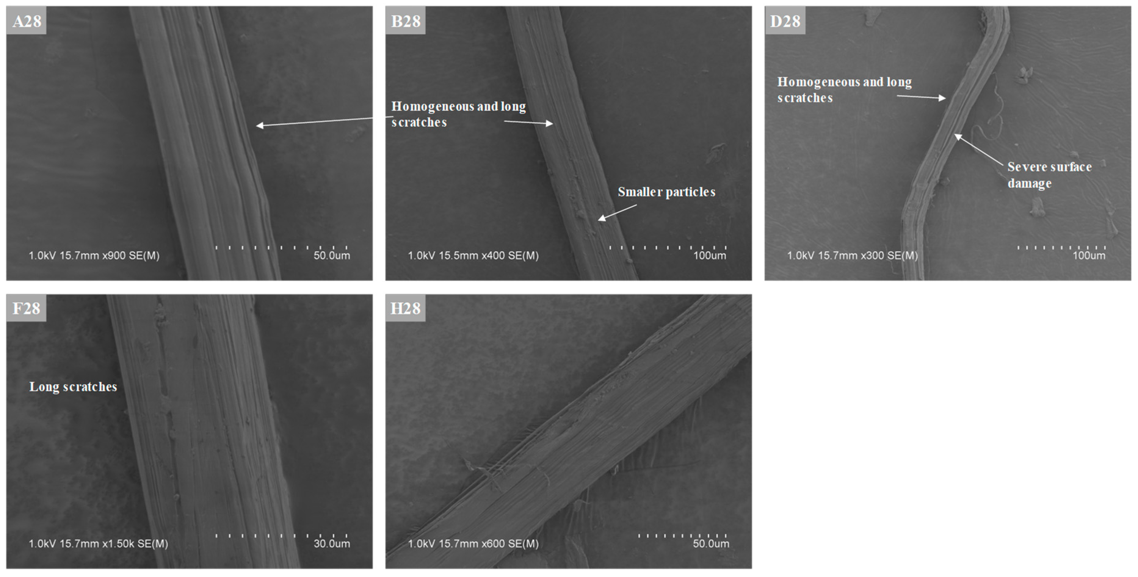 Applsci 11 02394 g013 Applsci 11 02394 g013