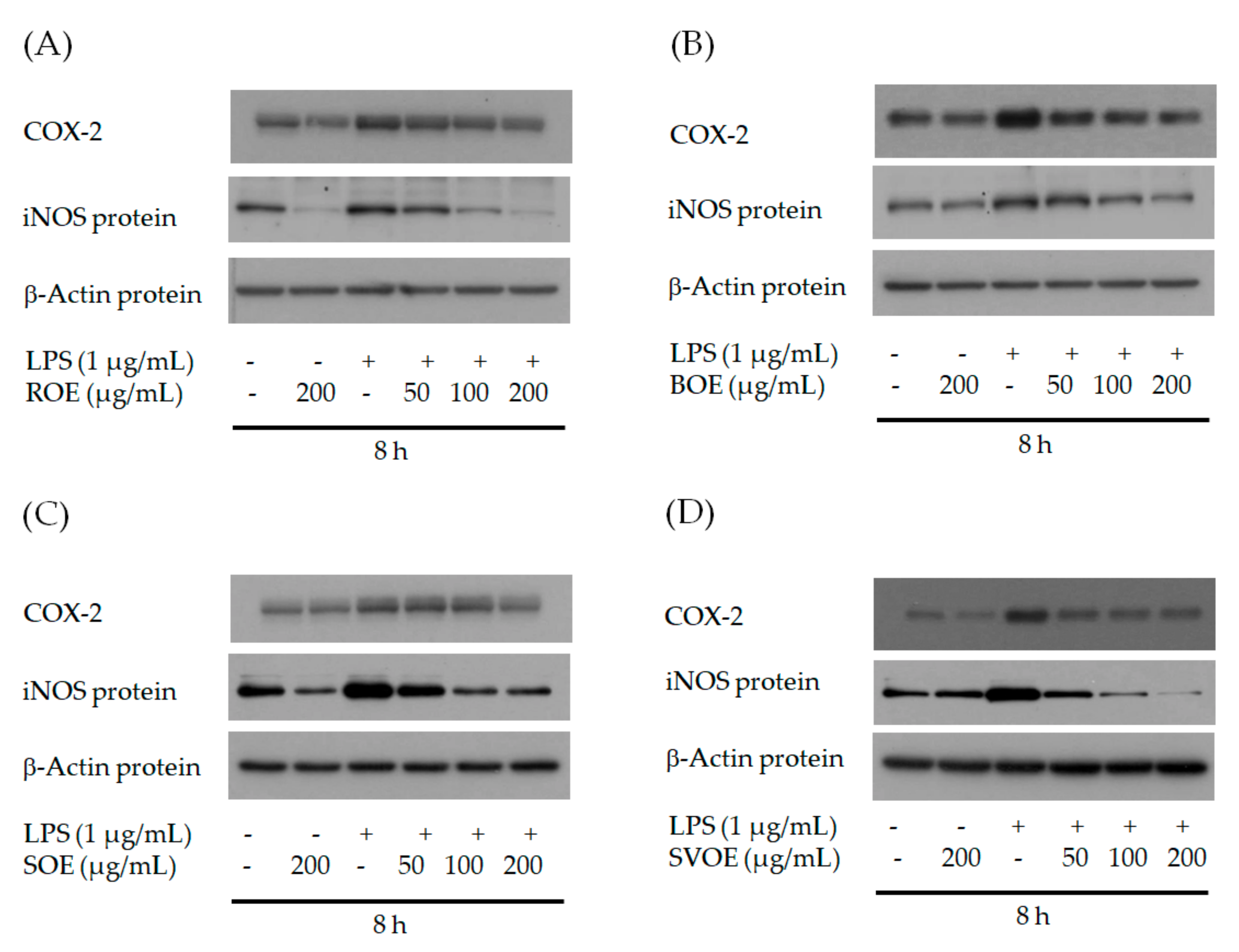 Applsci 11 02432 g003 Applsci 11 02432 g003