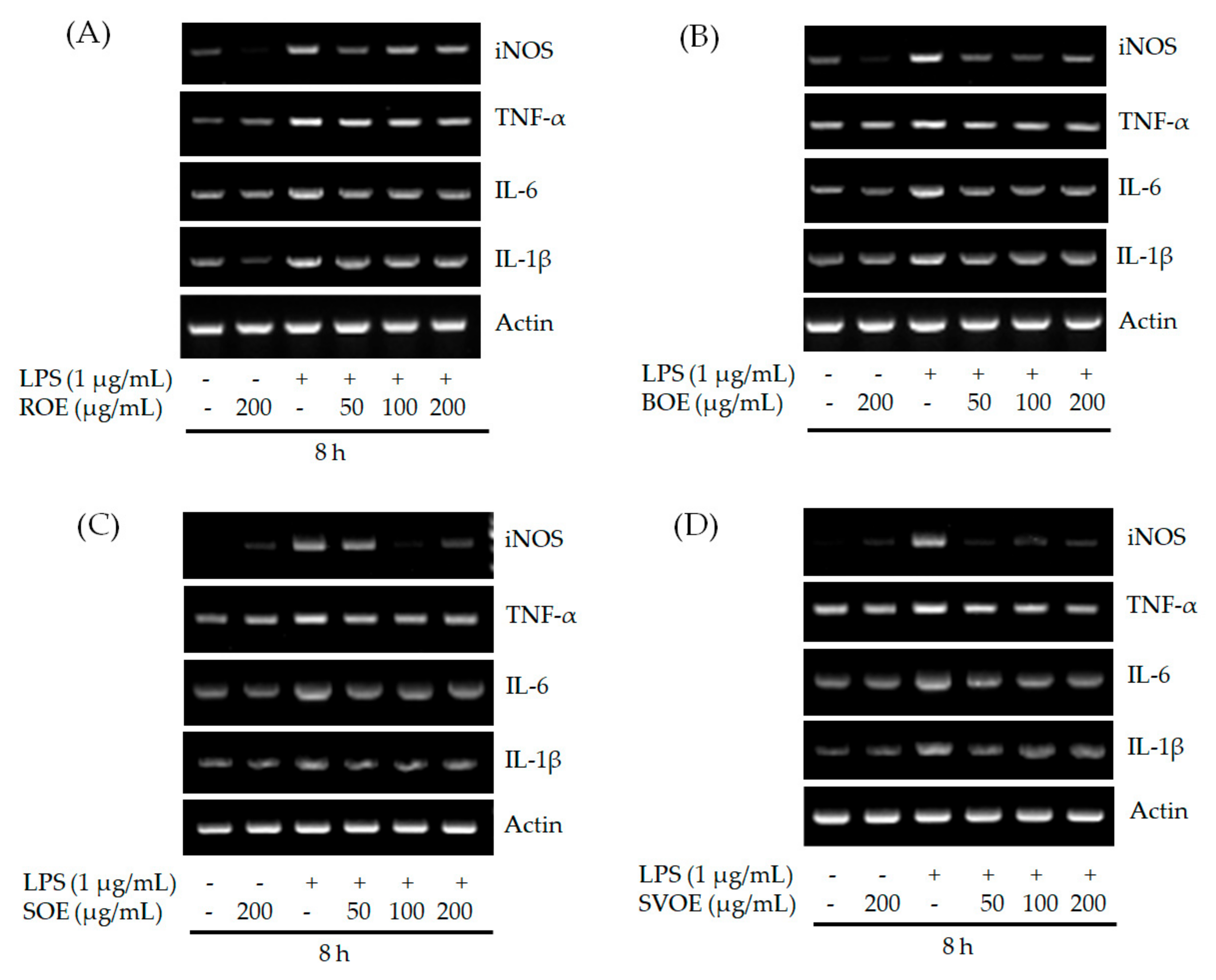 Applsci 11 02432 g004 Applsci 11 02432 g004