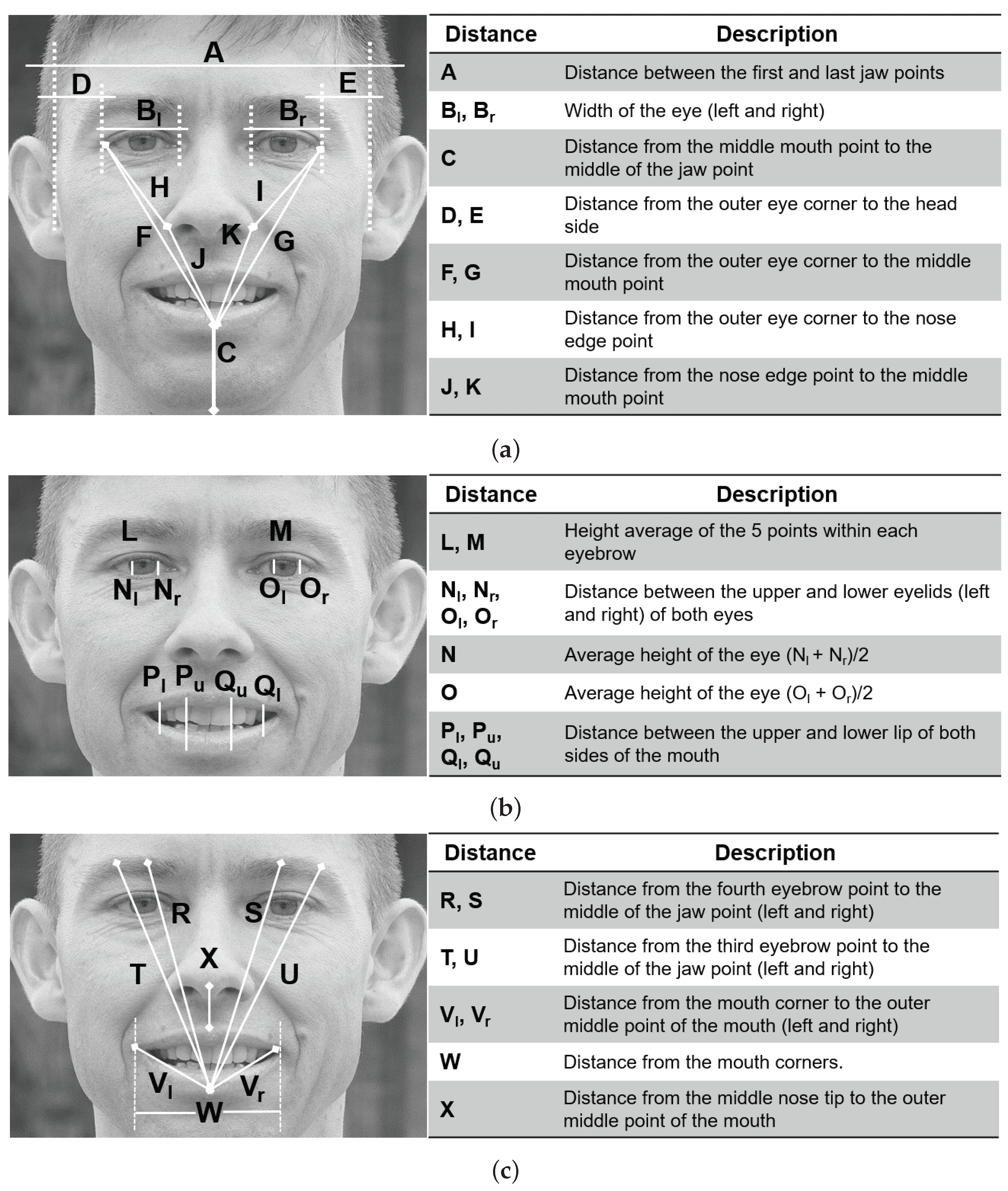 Applsci 11 02435 g003