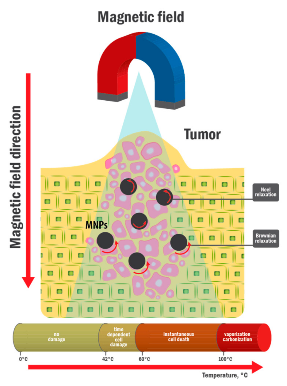 Applsci 11 02437 g012