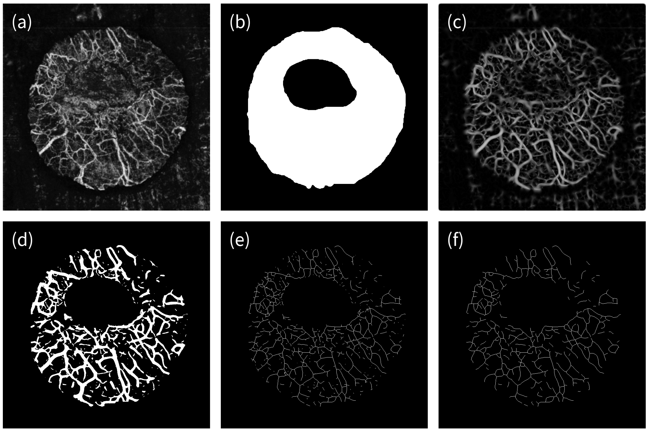 Applsci 11 02447 g001 Applsci 11 02447 g001