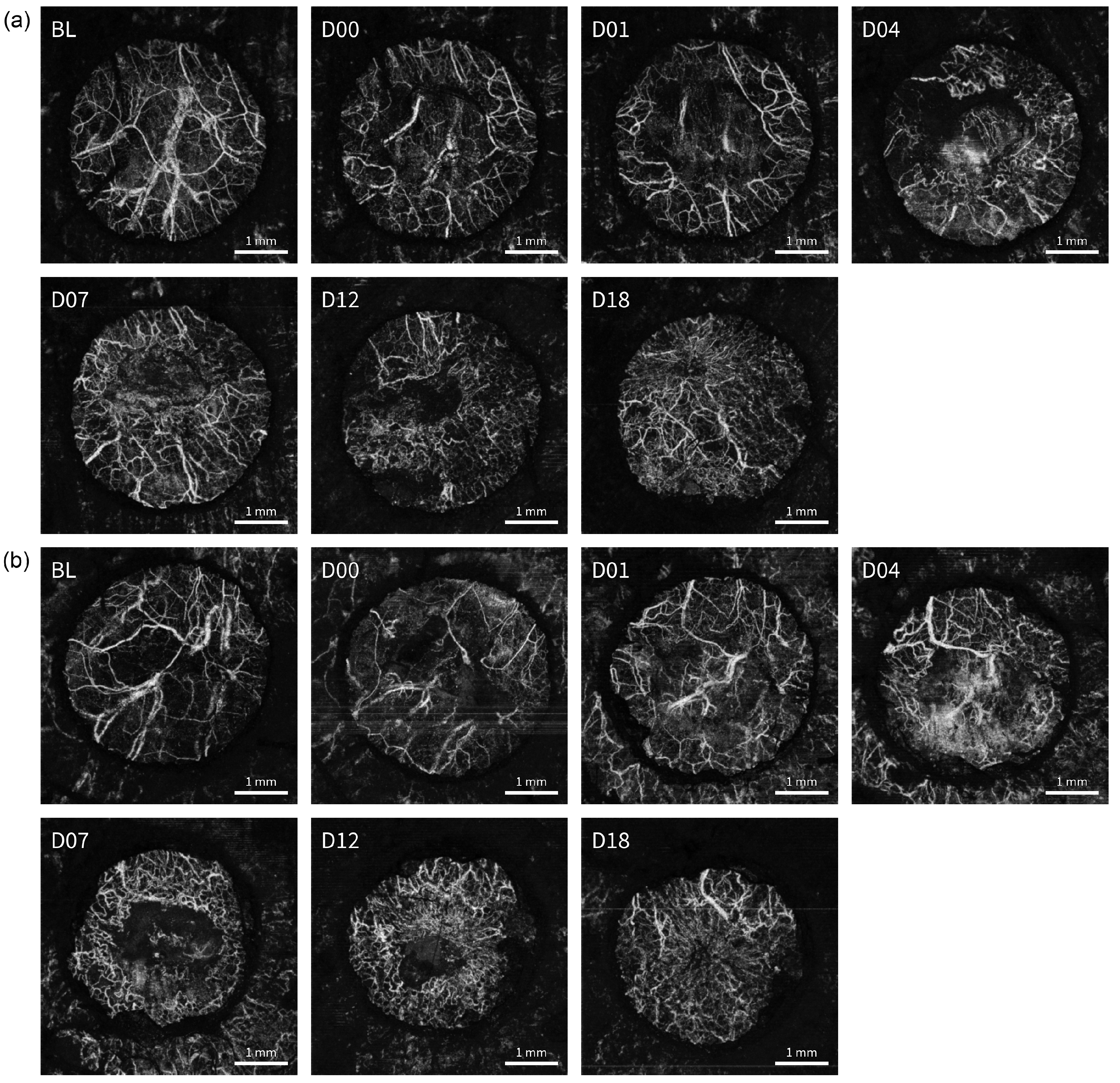 Applsci 11 02447 g003 Applsci 11 02447 g003