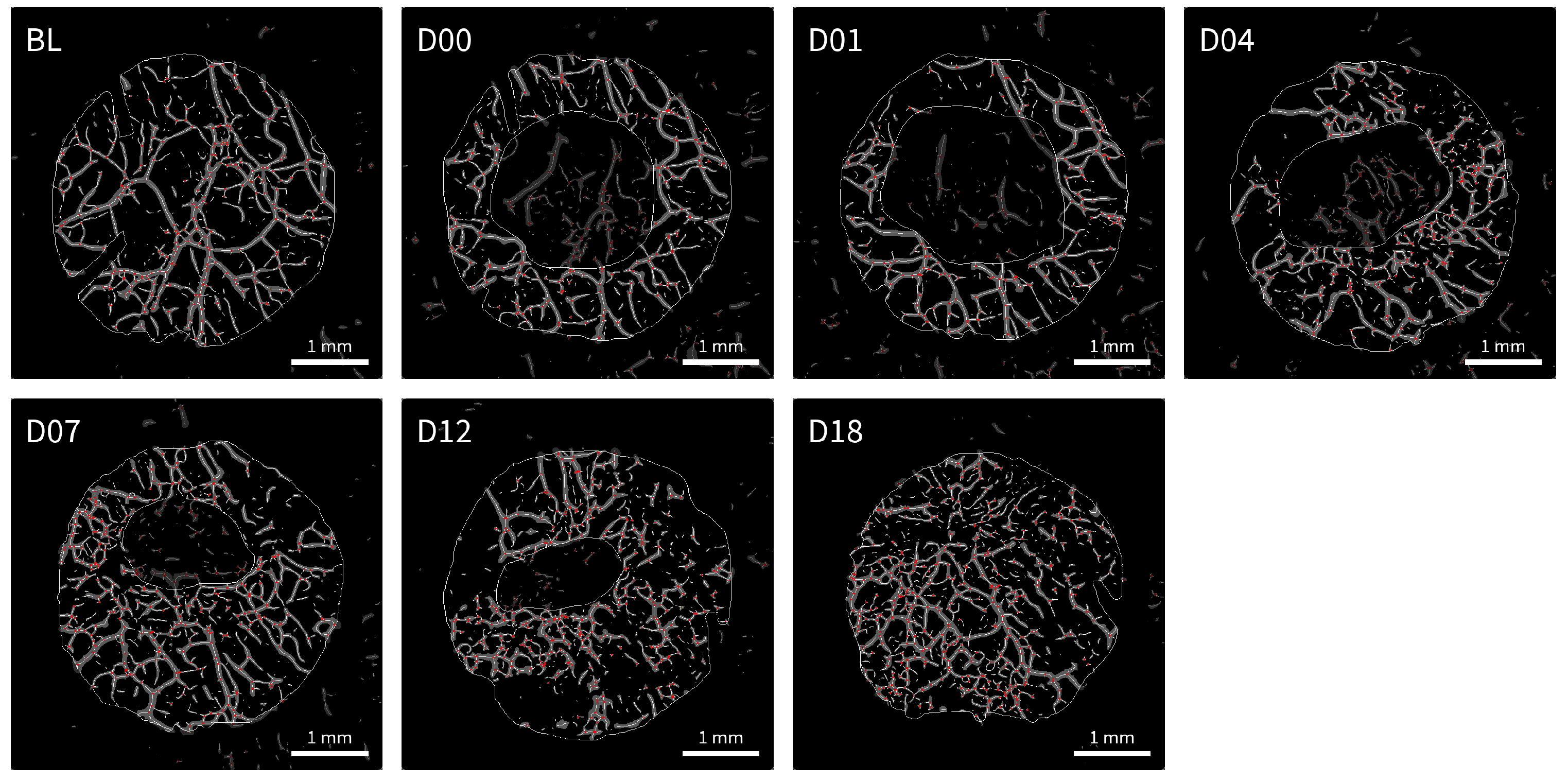 Applsci 11 02447 g004 Applsci 11 02447 g004