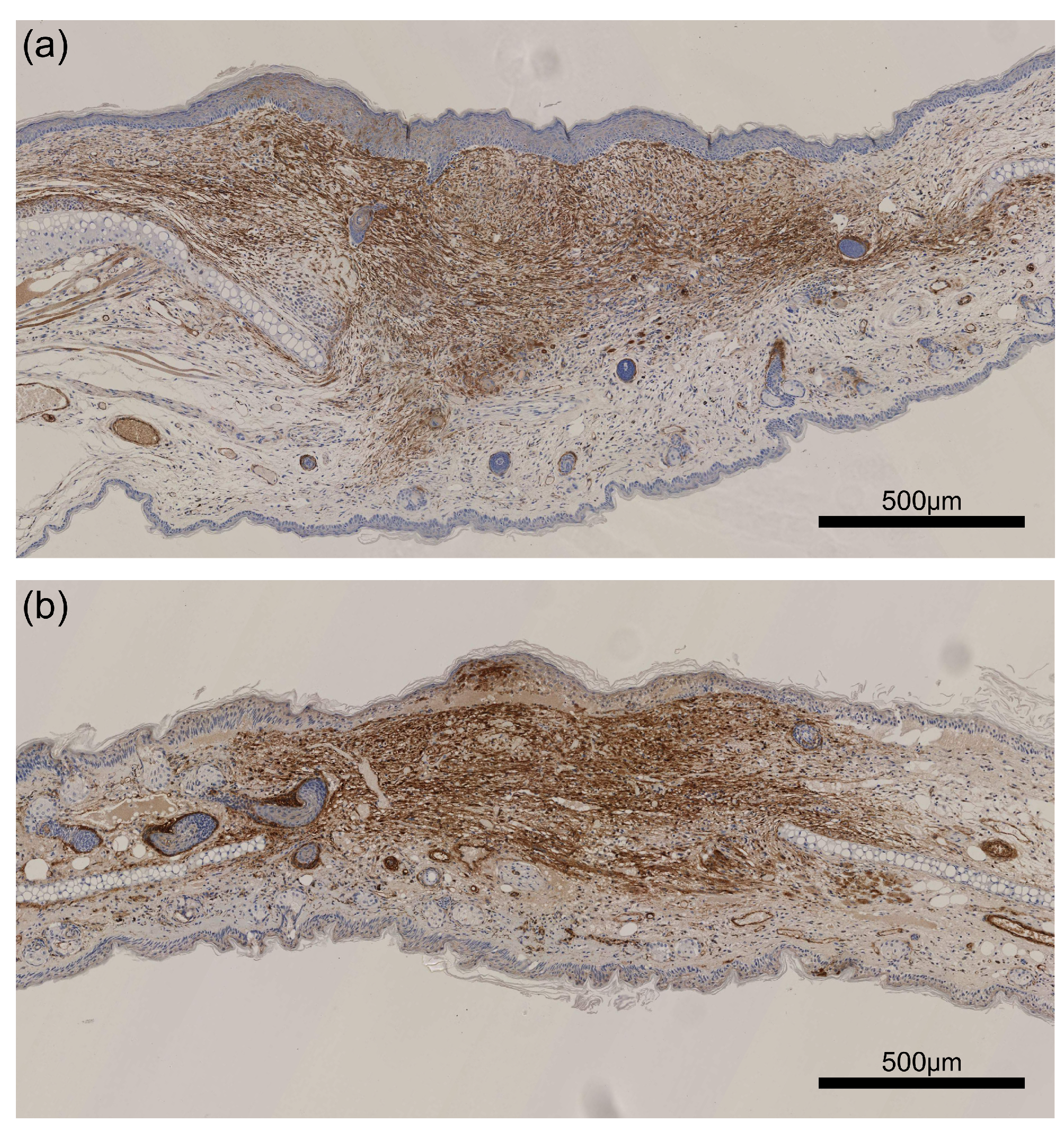 Applsci 11 02447 g008 Applsci 11 02447 g008