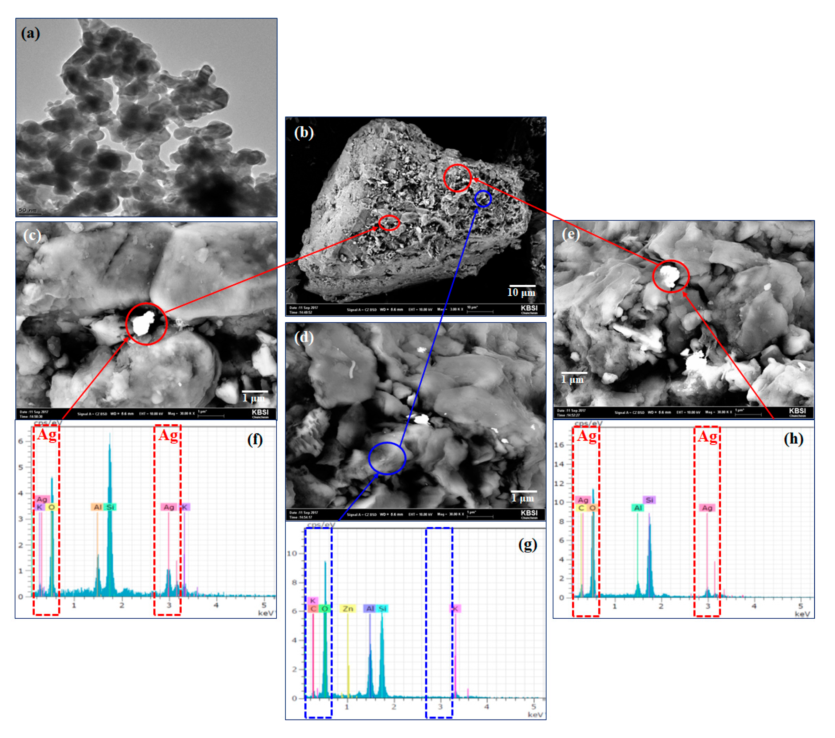 Applsci 11 02463 g001