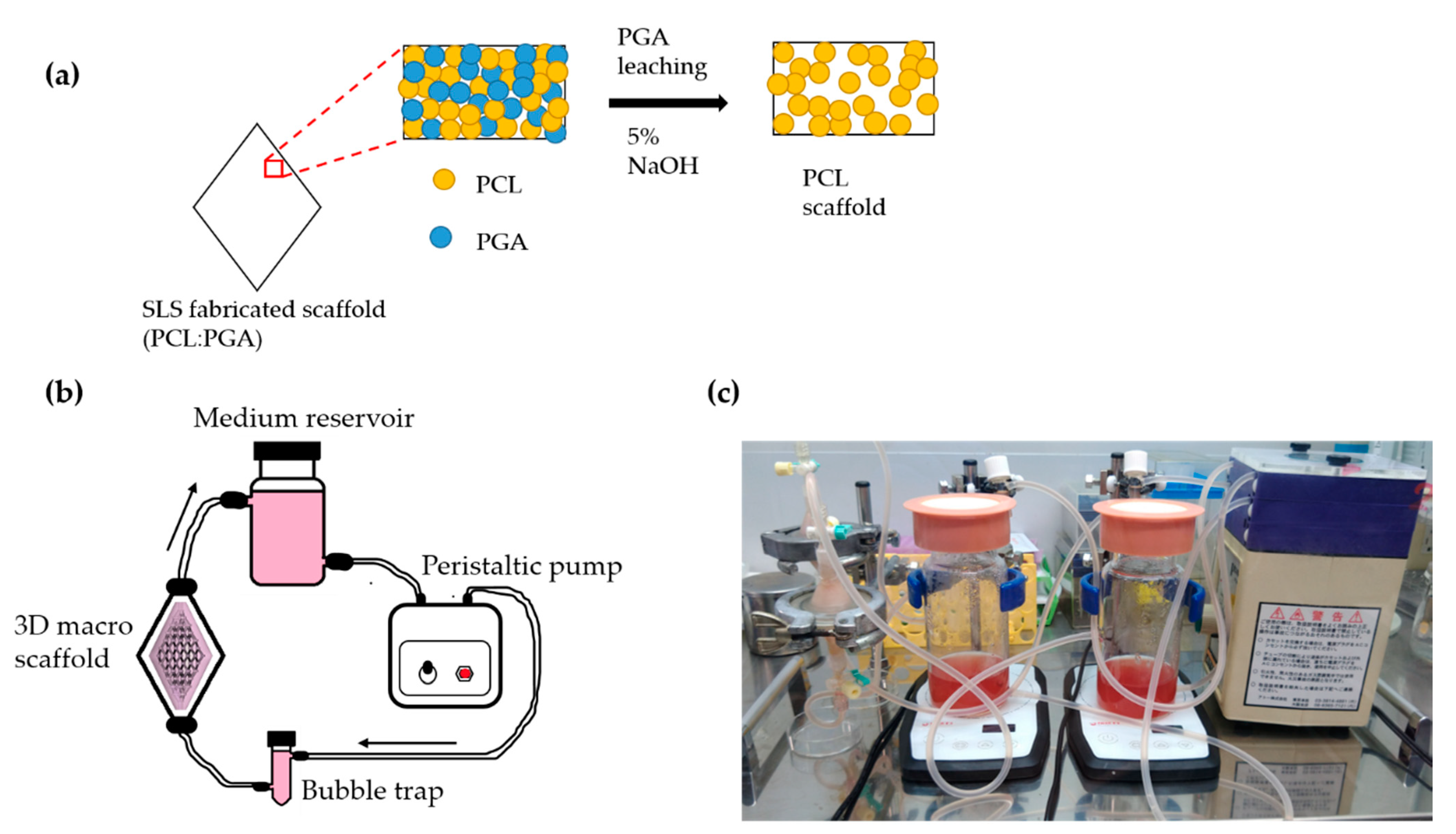 Applsci 11 02473 g001