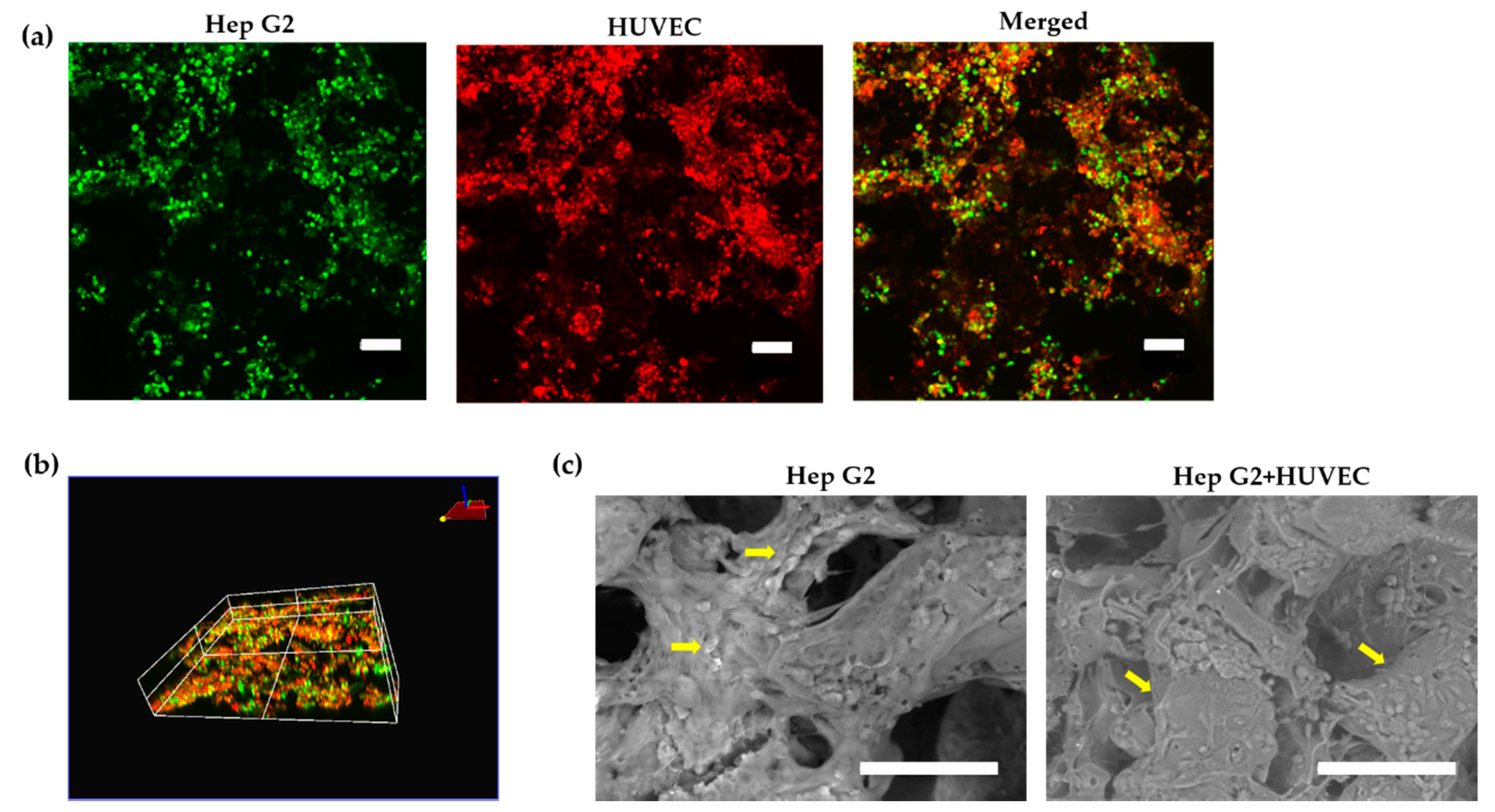 Applsci 11 02473 g004