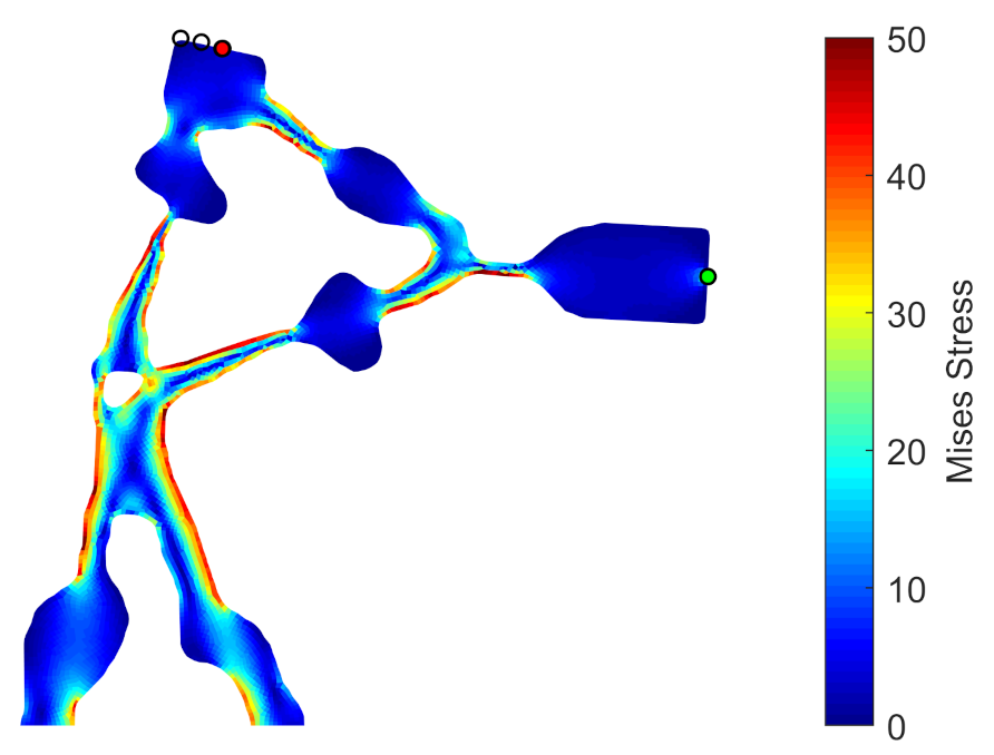 Applsci 11 02479 g007 Applsci 11 02479 g007
