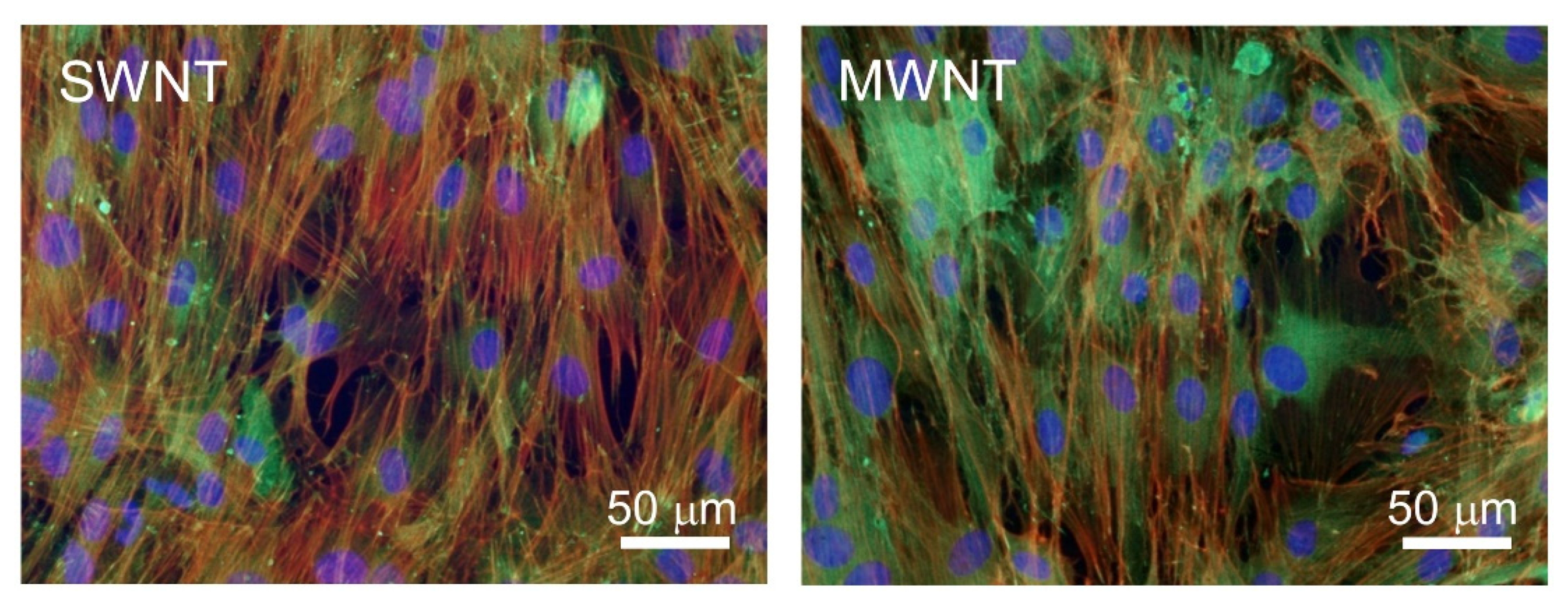 Applsci 11 02490 g007