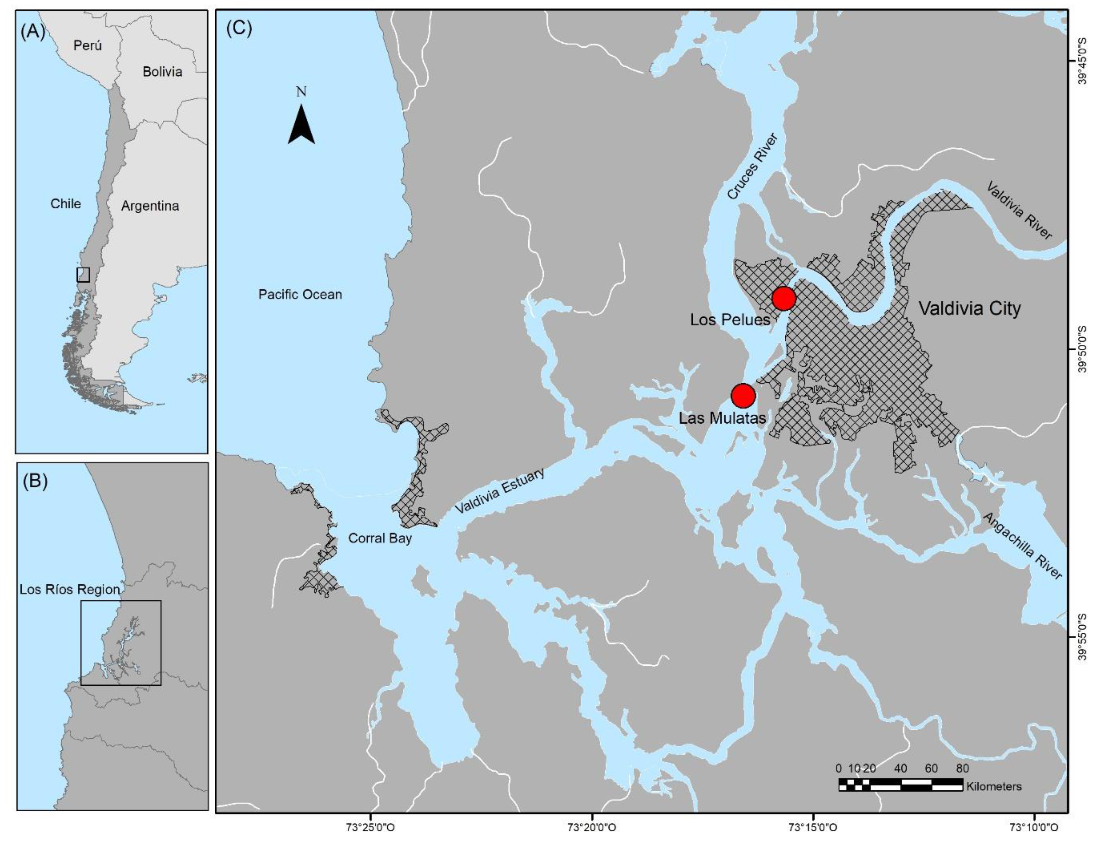 Applsci 11 02492 g001 Applsci 11 02492 g001