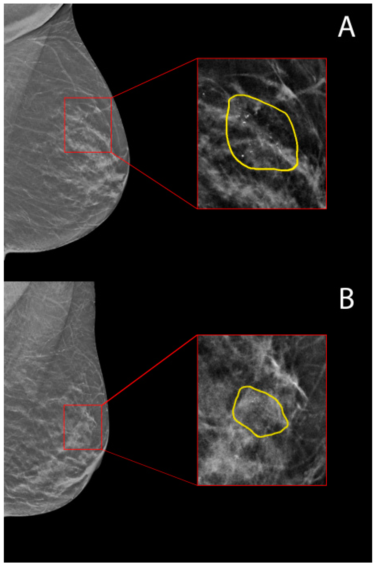 Applsci 11 02503 g001