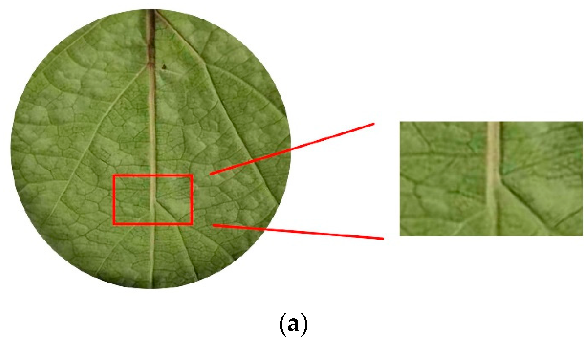 Applsci 11 02526 g007a Applsci 11 02526 g007a