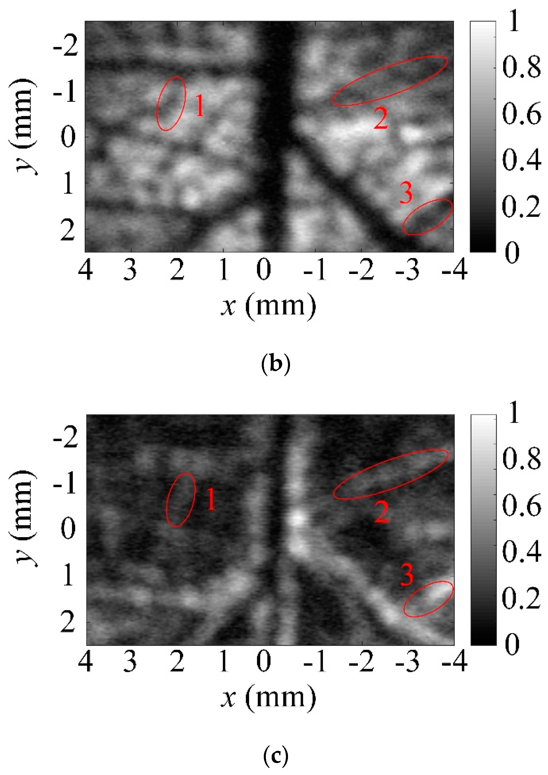Applsci 11 02526 g007b Applsci 11 02526 g007b