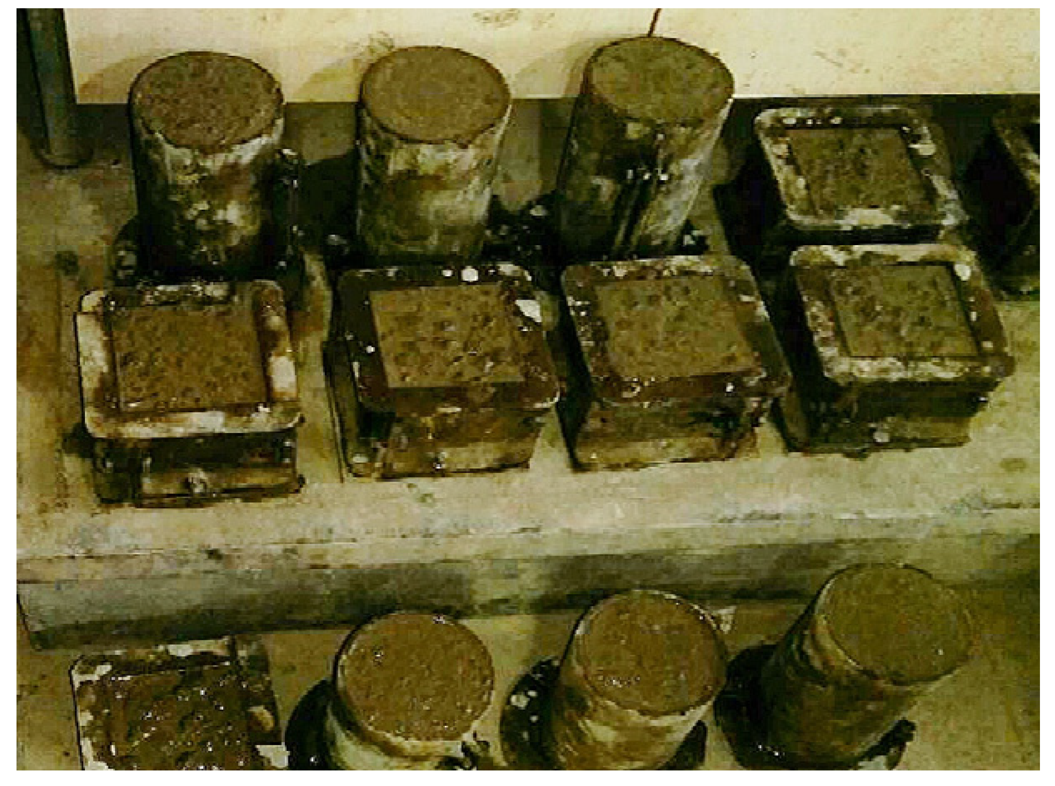 Applsci 11 02529 g001 Applsci 11 02529 g001