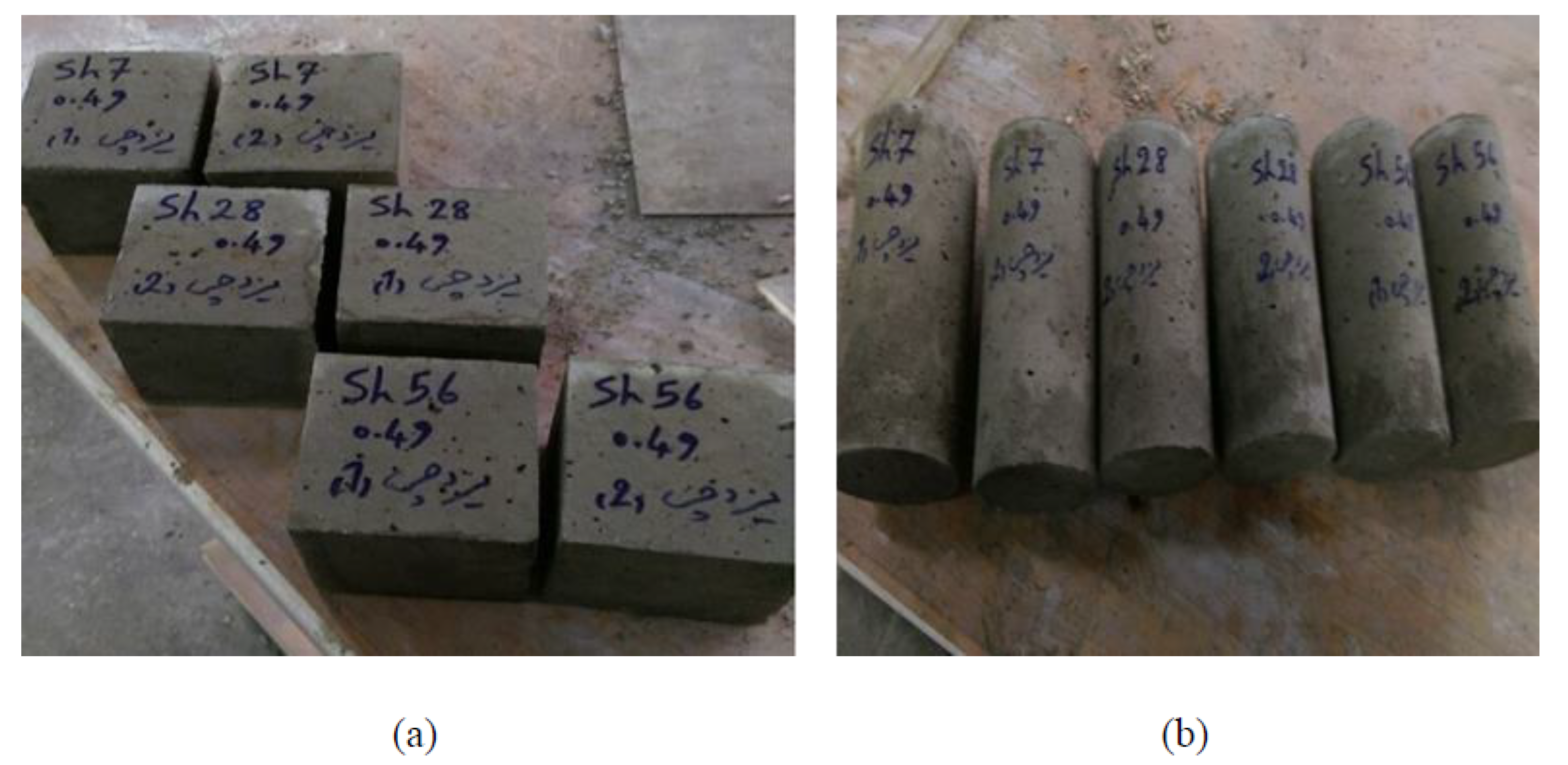 Applsci 11 02529 g002 Applsci 11 02529 g002